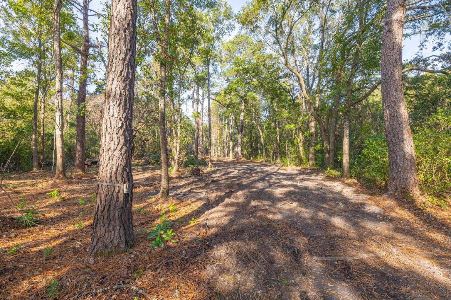 0 Dupre Road, McClellanville