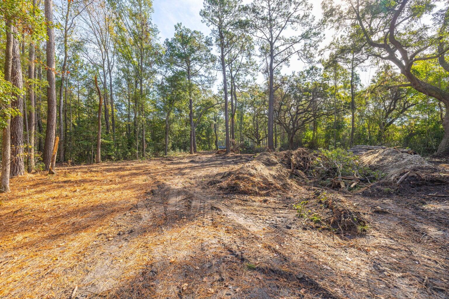 0 Dupre Road, McClellanville