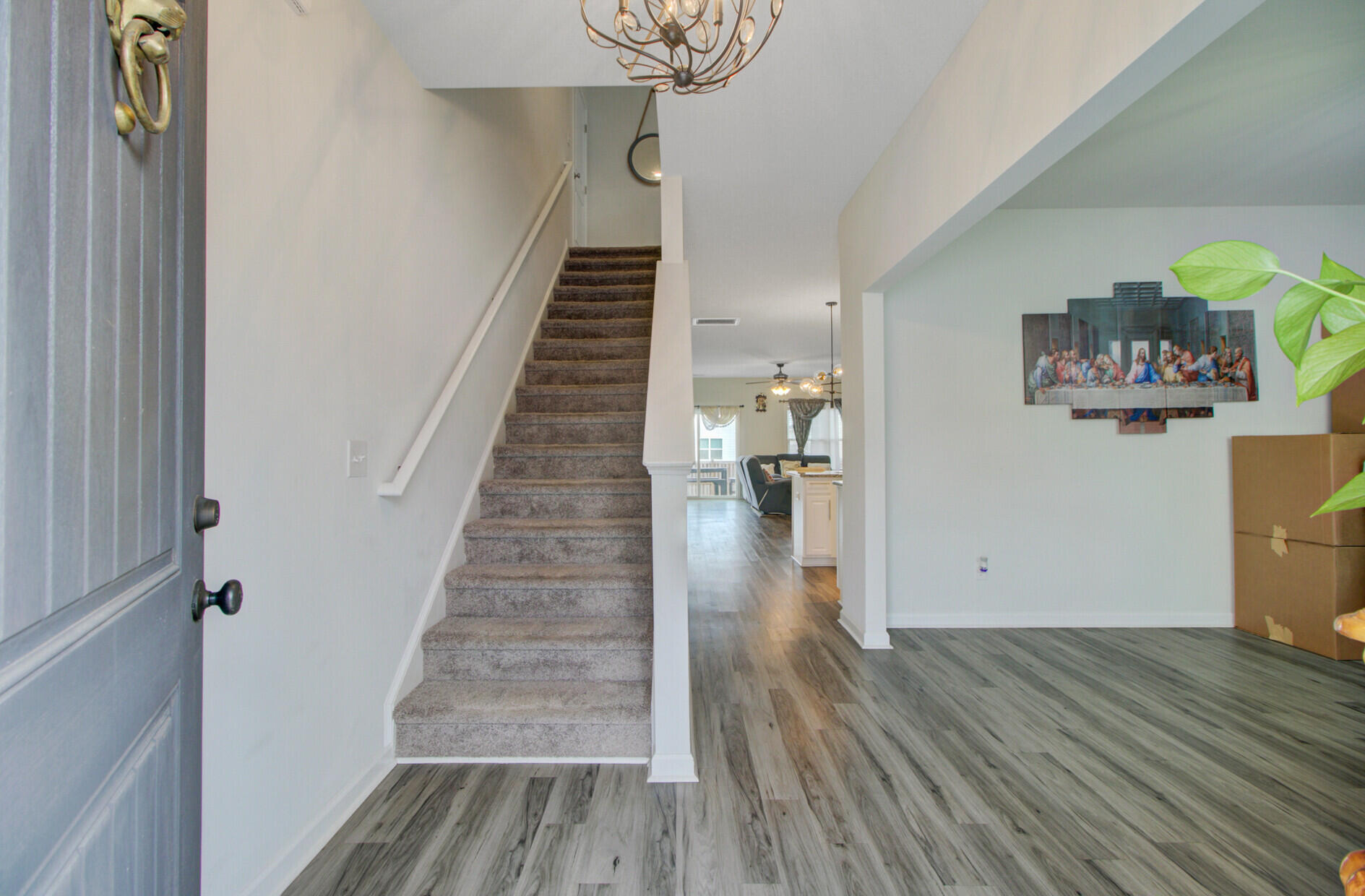 142 Clydesdale Circle