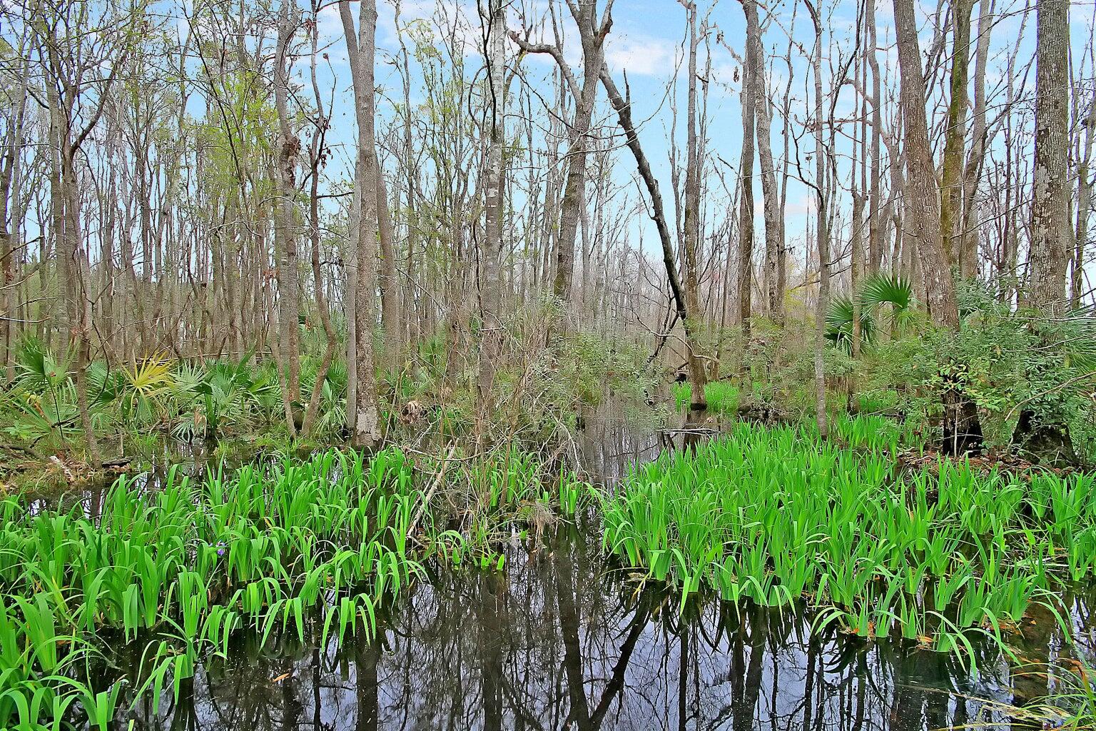 3849 Hanoverian Drive