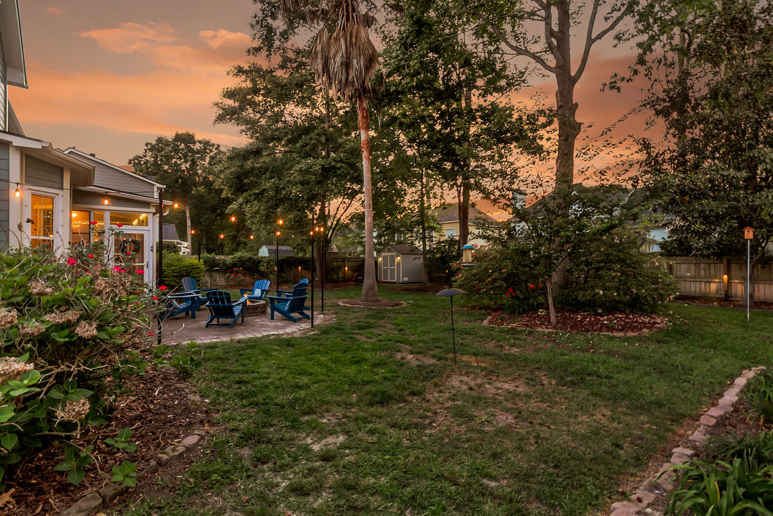 2113 Tall Grass