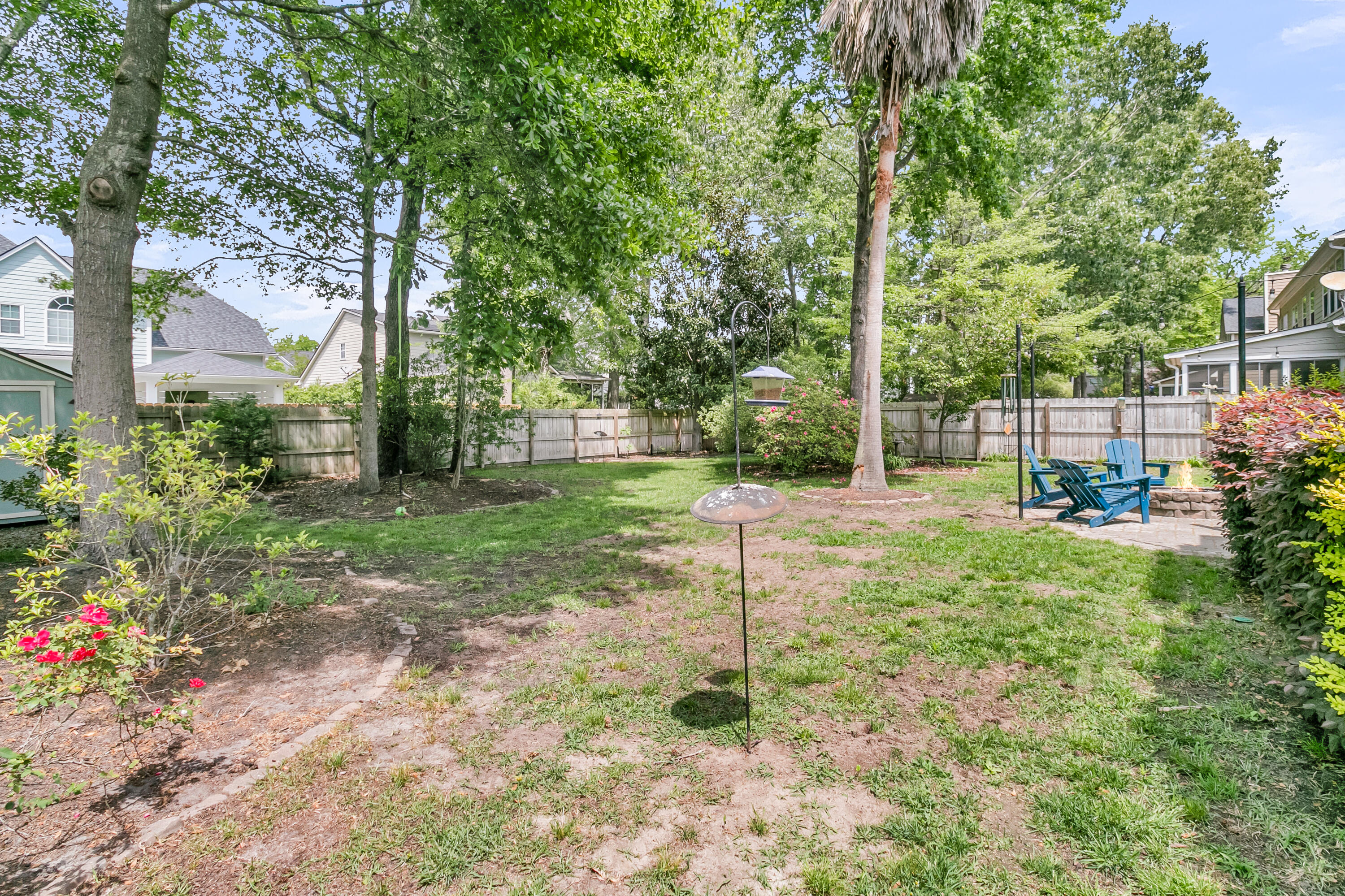 2113 Tall Grass