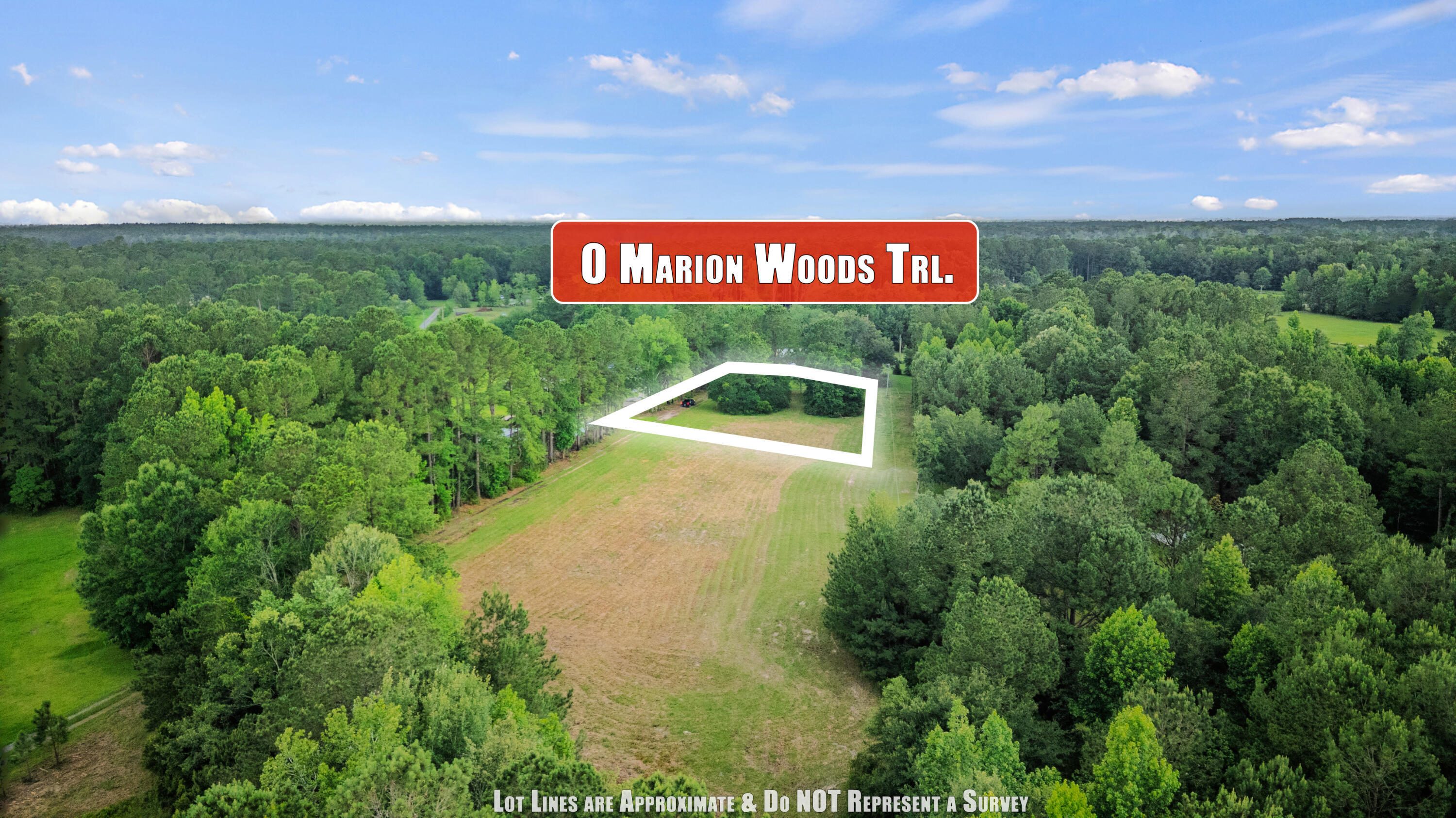 1 Marion Woods Trail