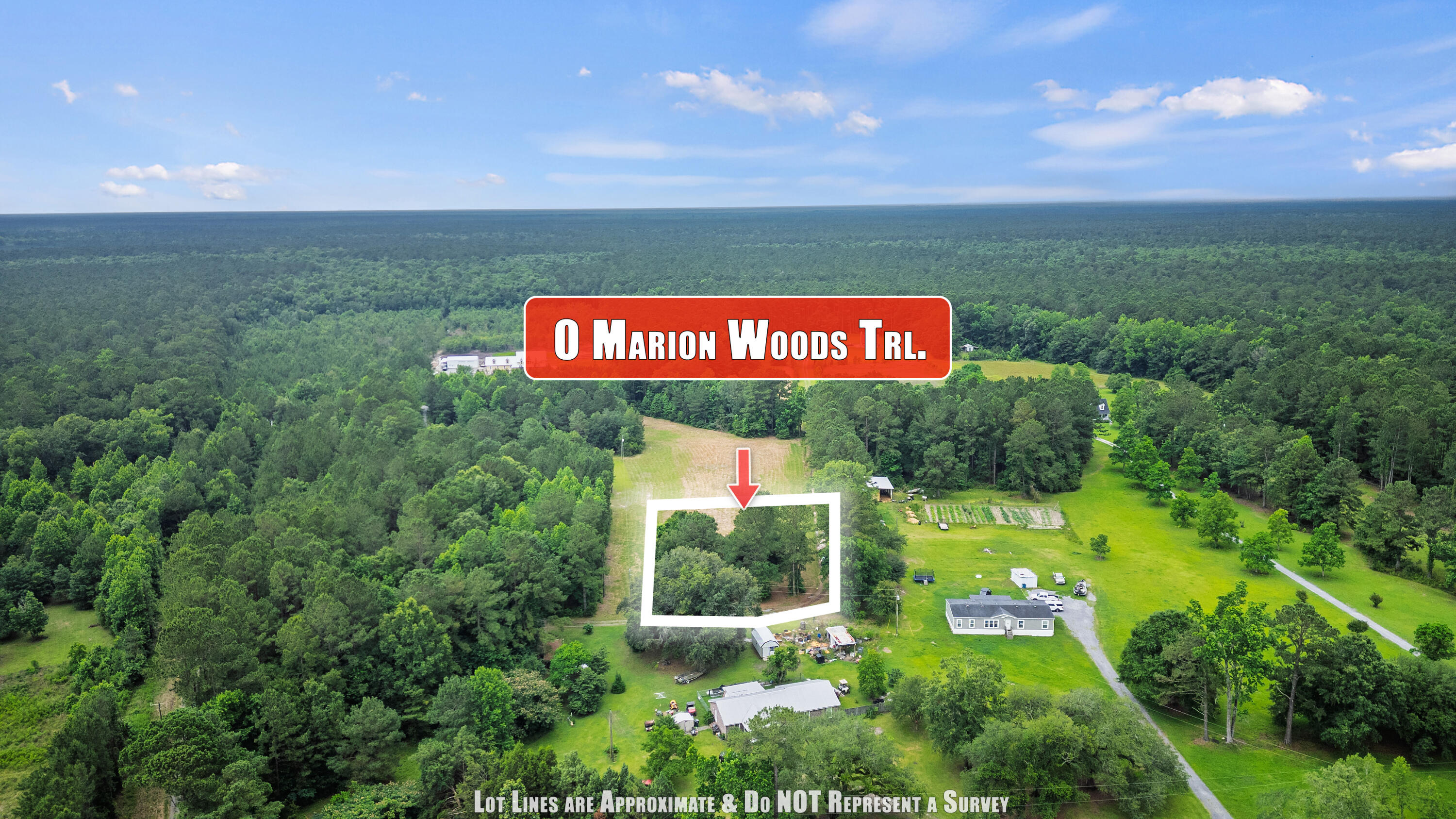 1 Marion Woods Trail