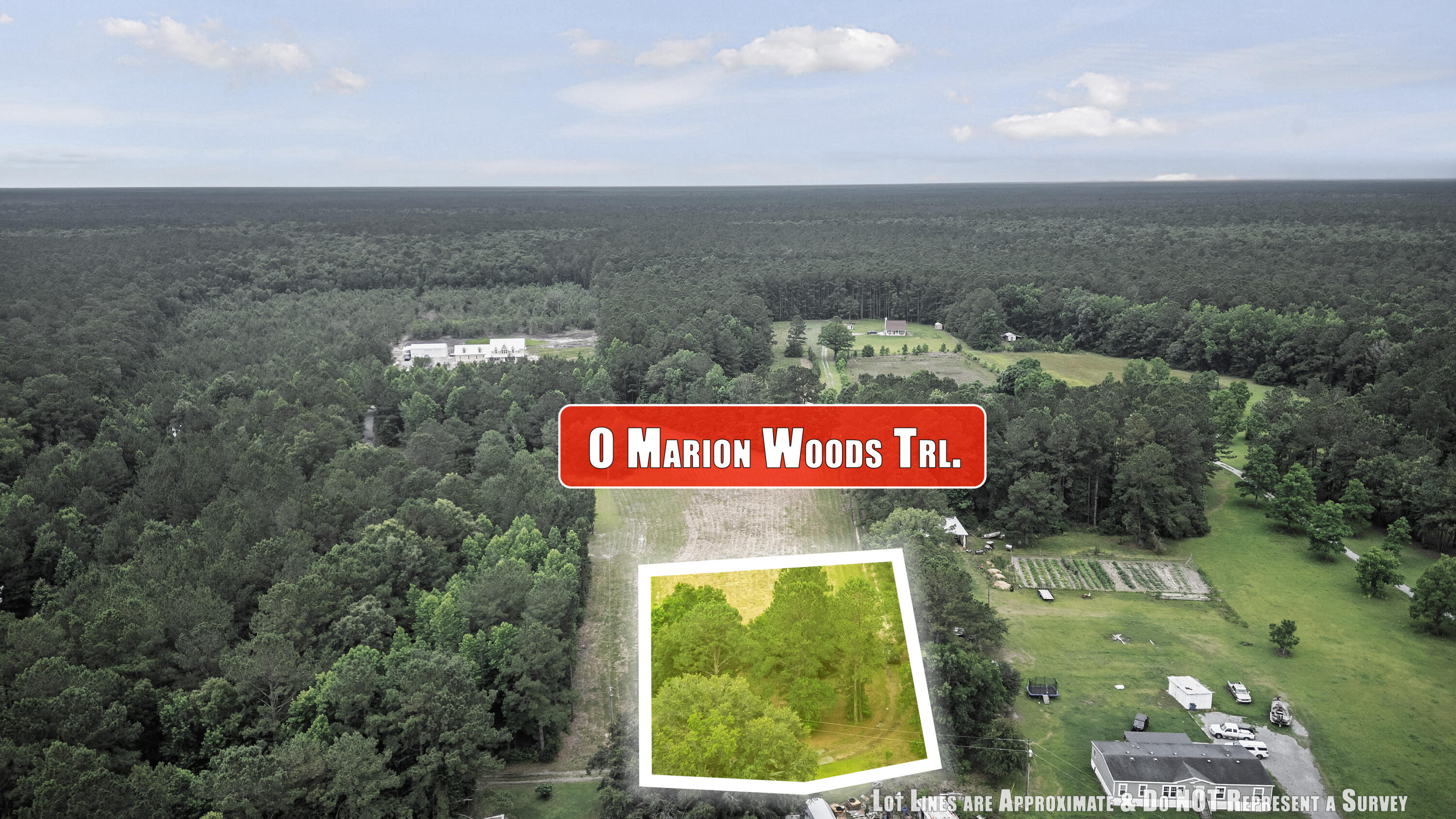 1 Marion Woods Trail