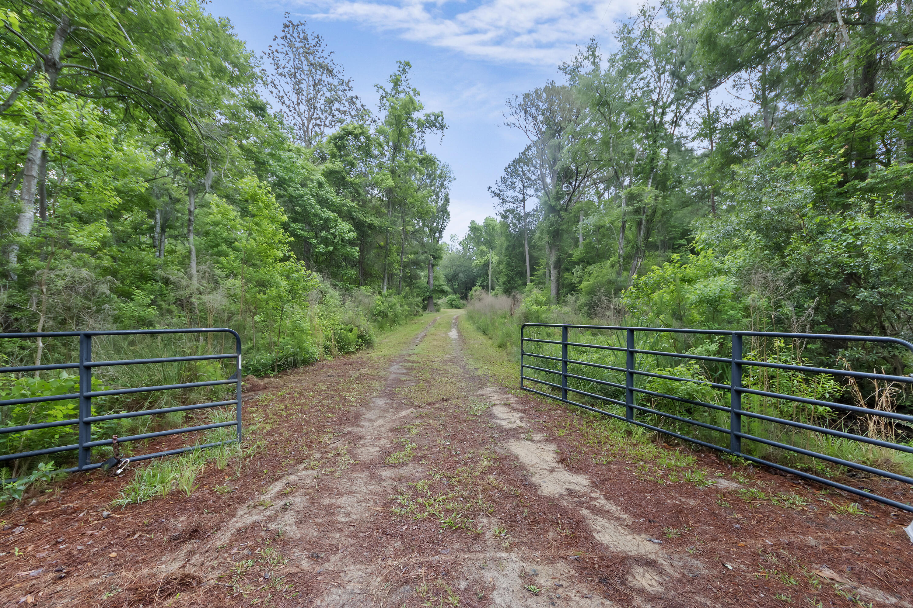 7855 Mary Seabrook Road