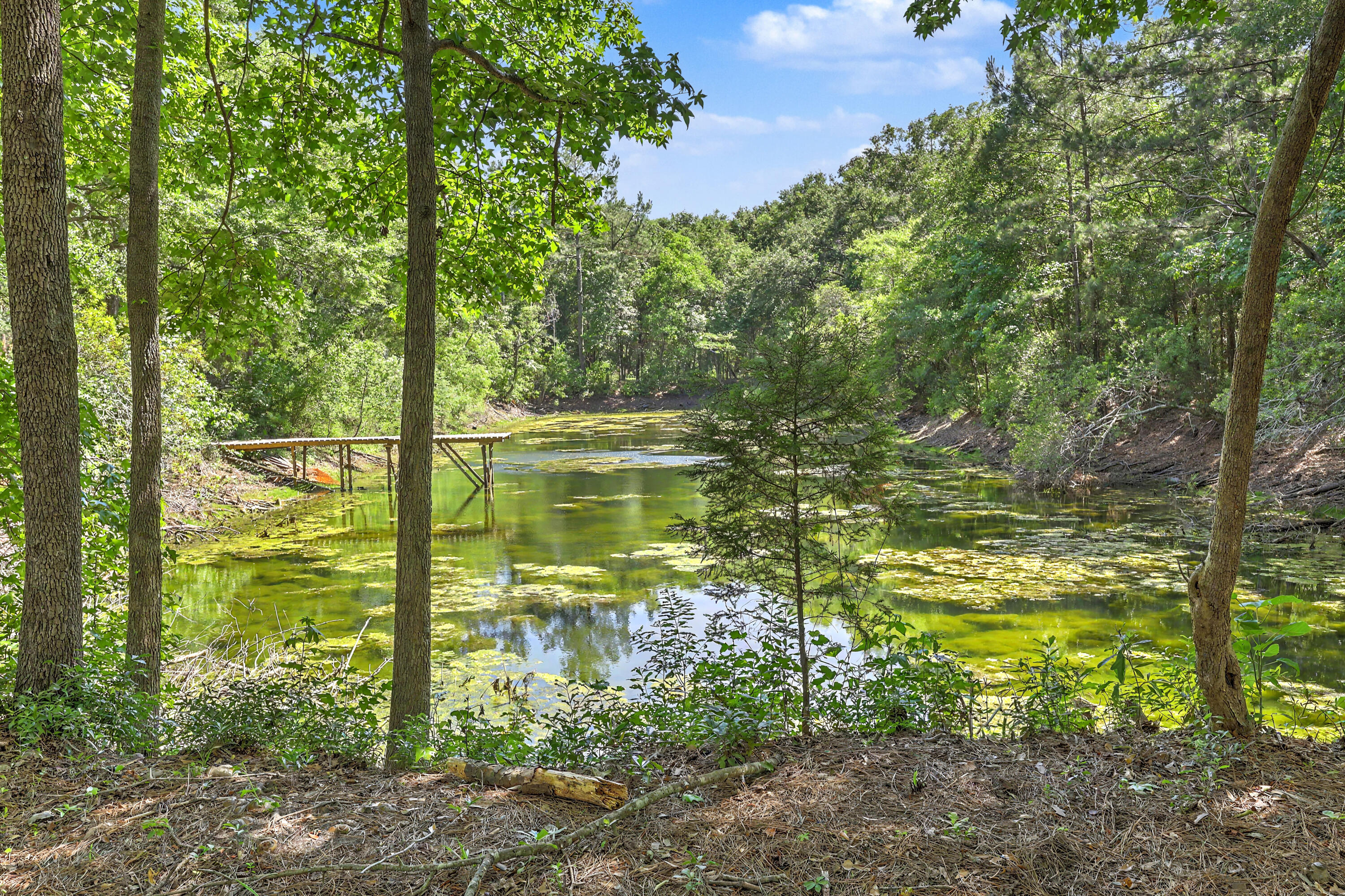 5709 Old Jacksonboro Road