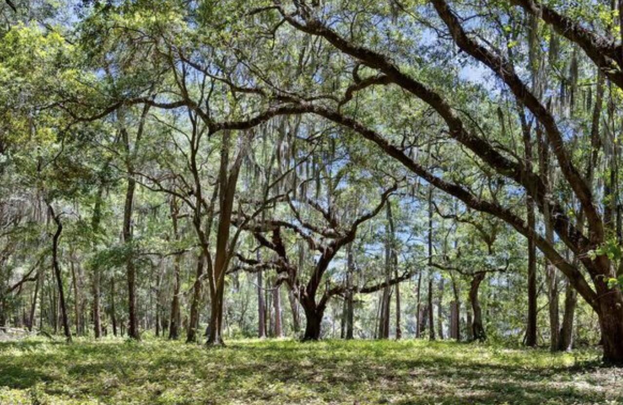 7767 Chaplin Garden Lane