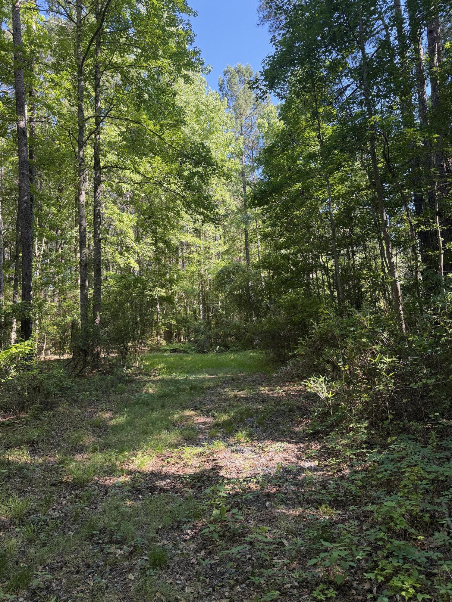 3125 State Road