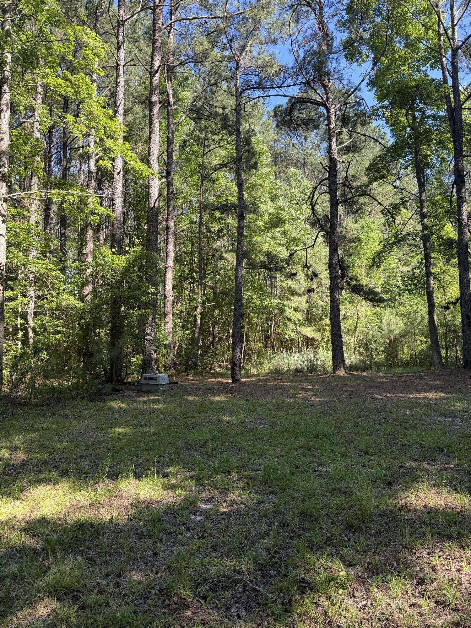 3125 State Road
