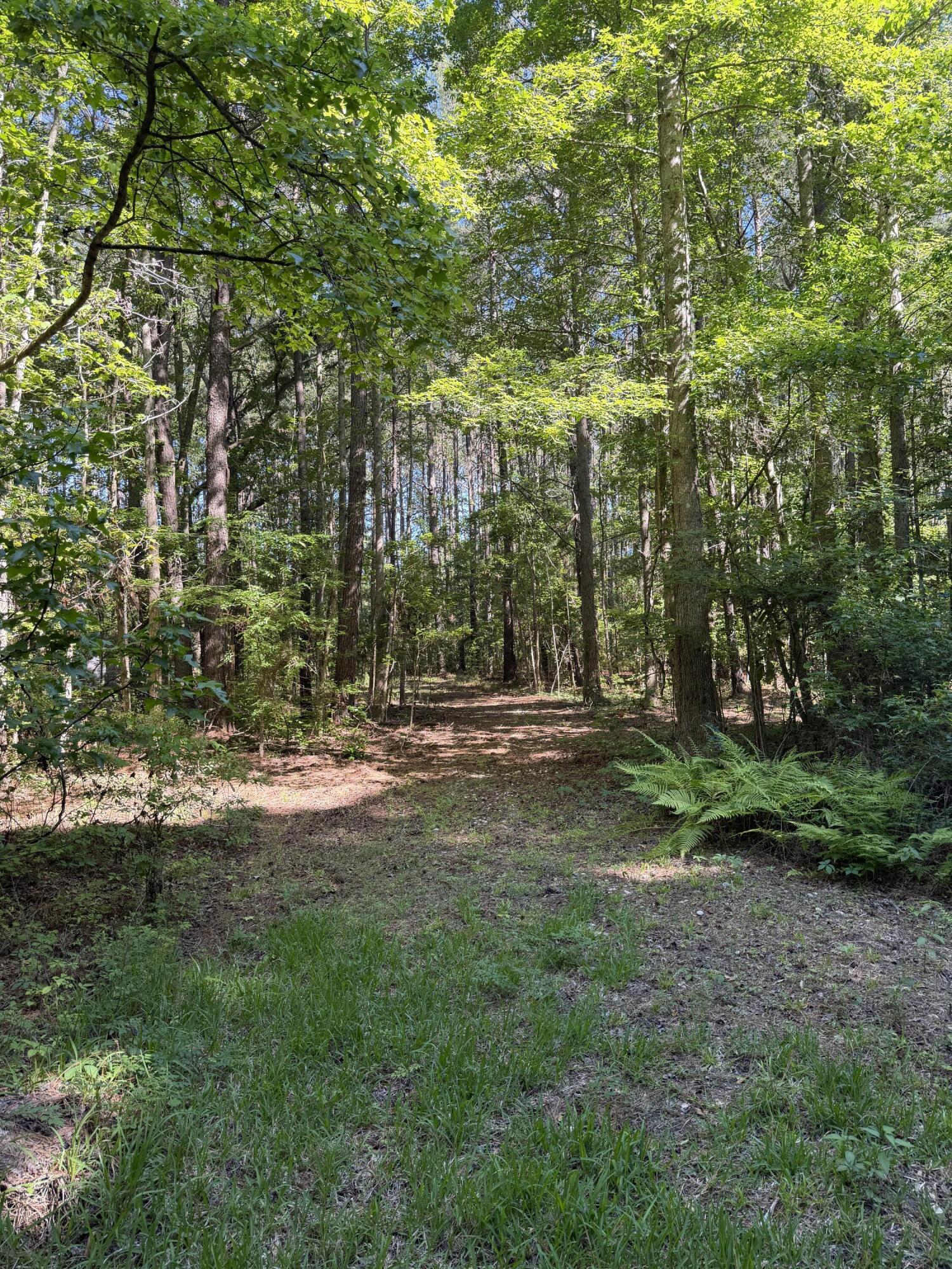 3125 State Road