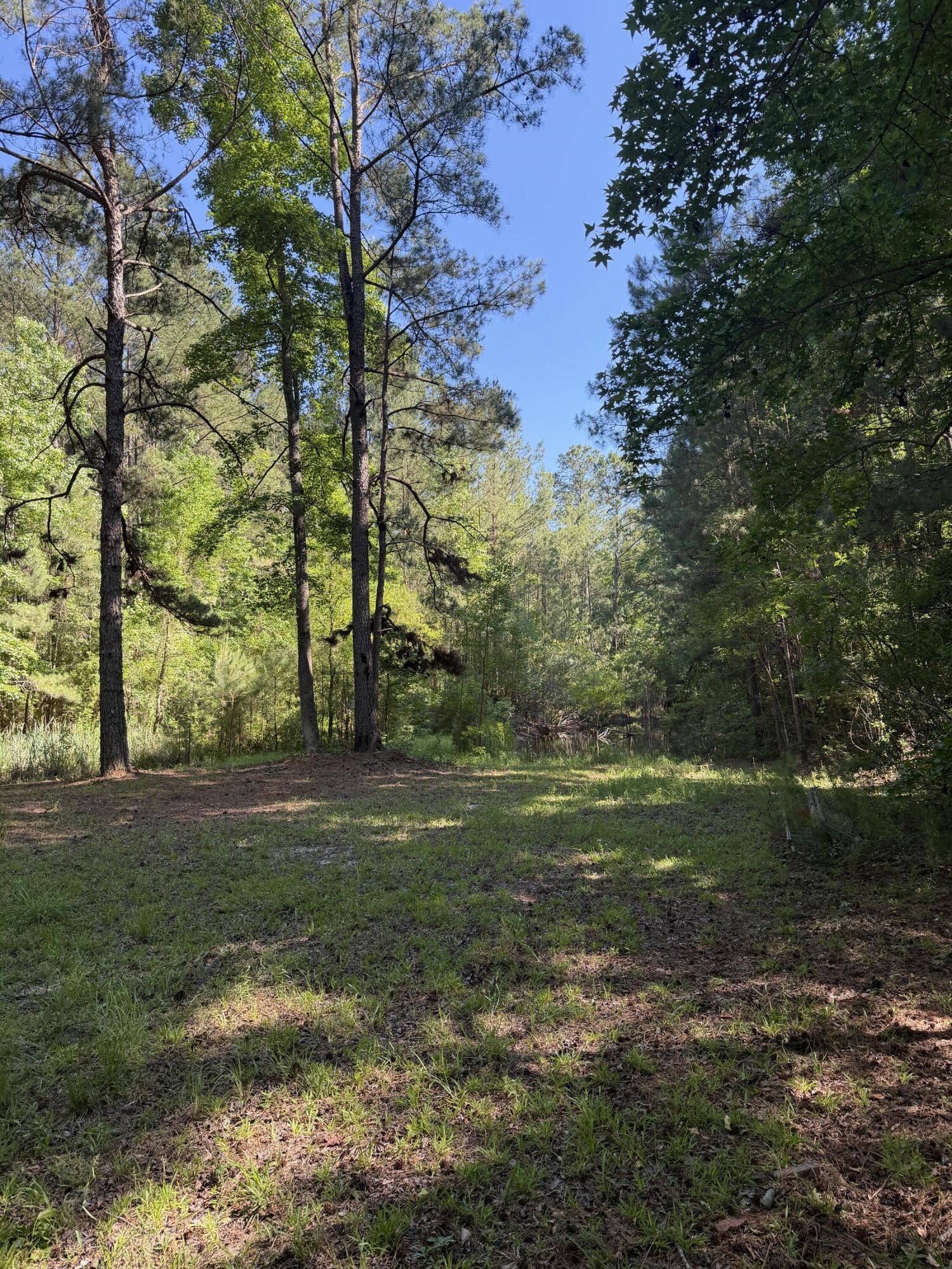 3125 State Road