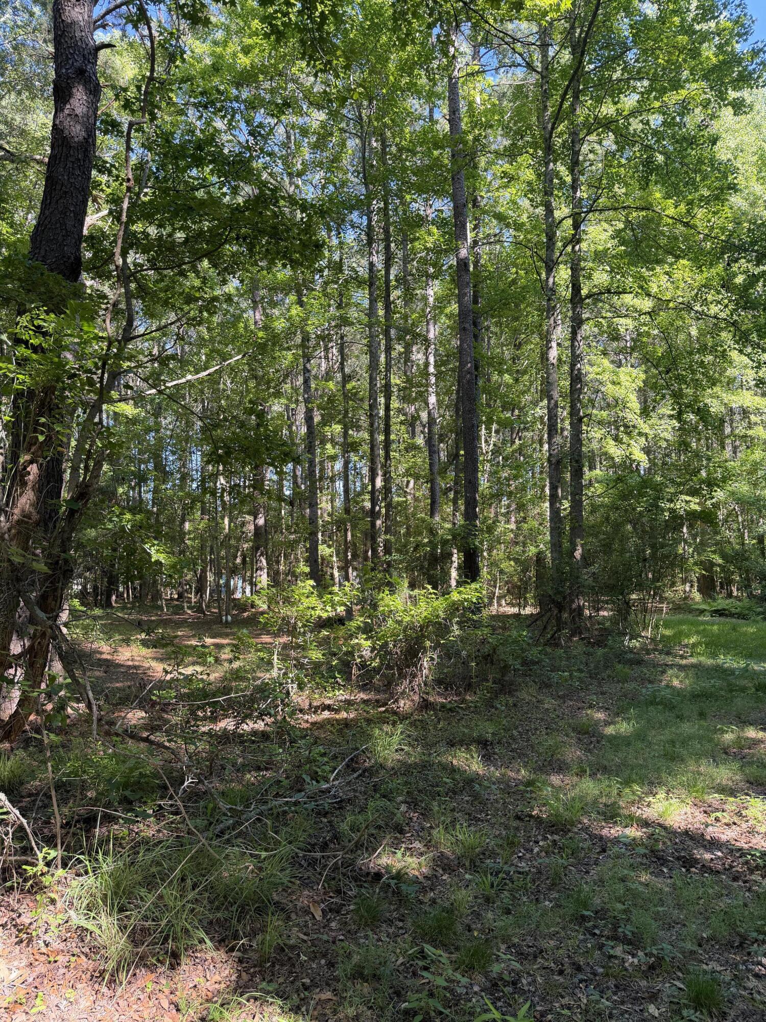 3125 State Road