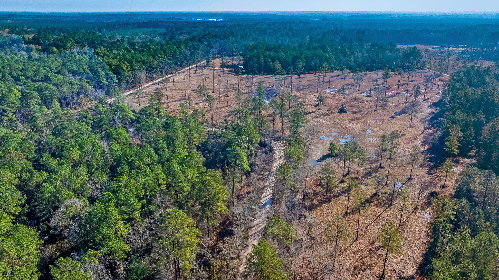456 Breezewood Lane