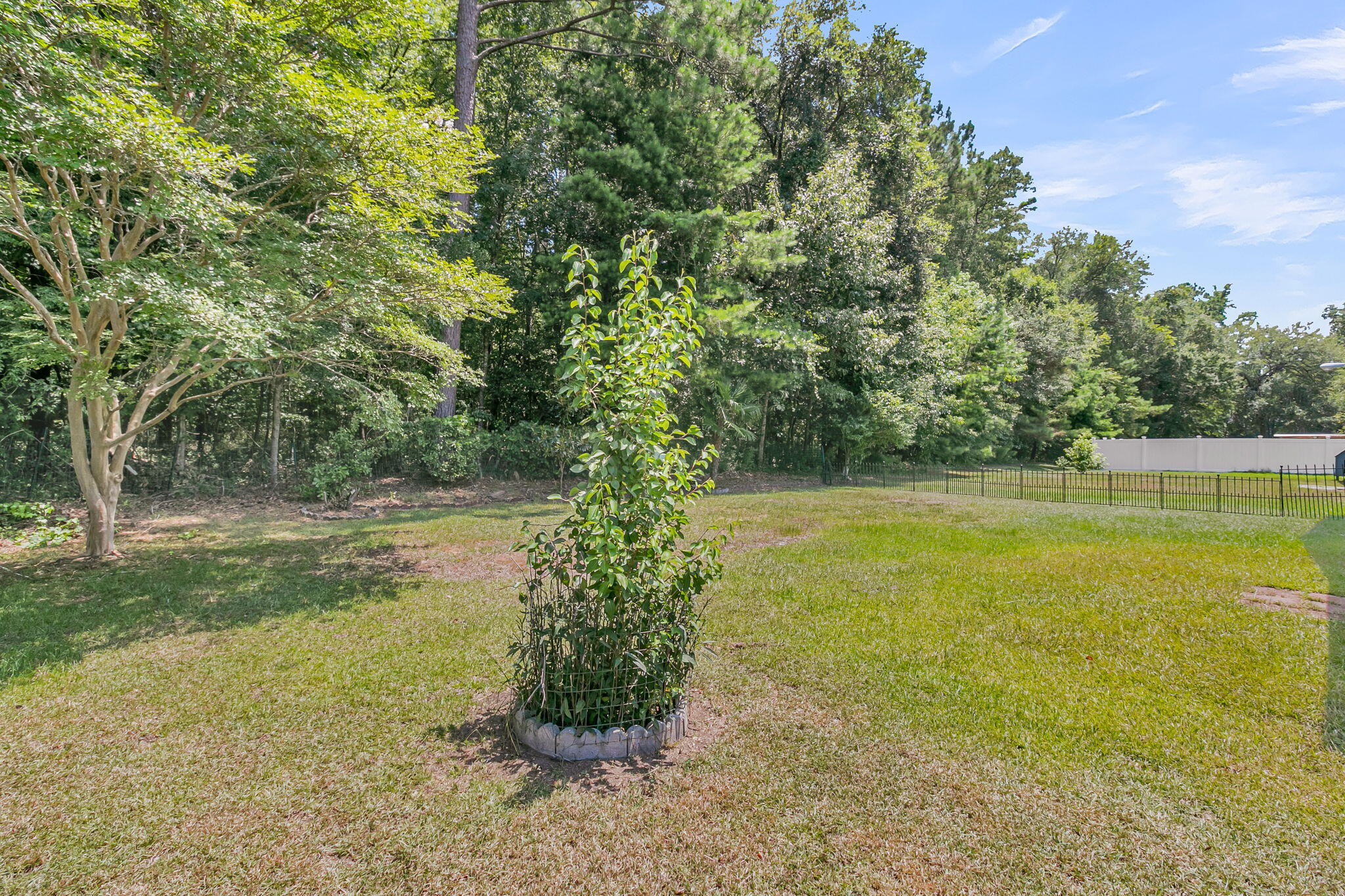 104 Savannah River Drive