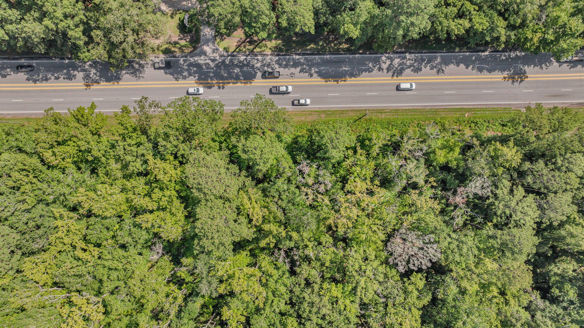 00 Ace Basin Parkway