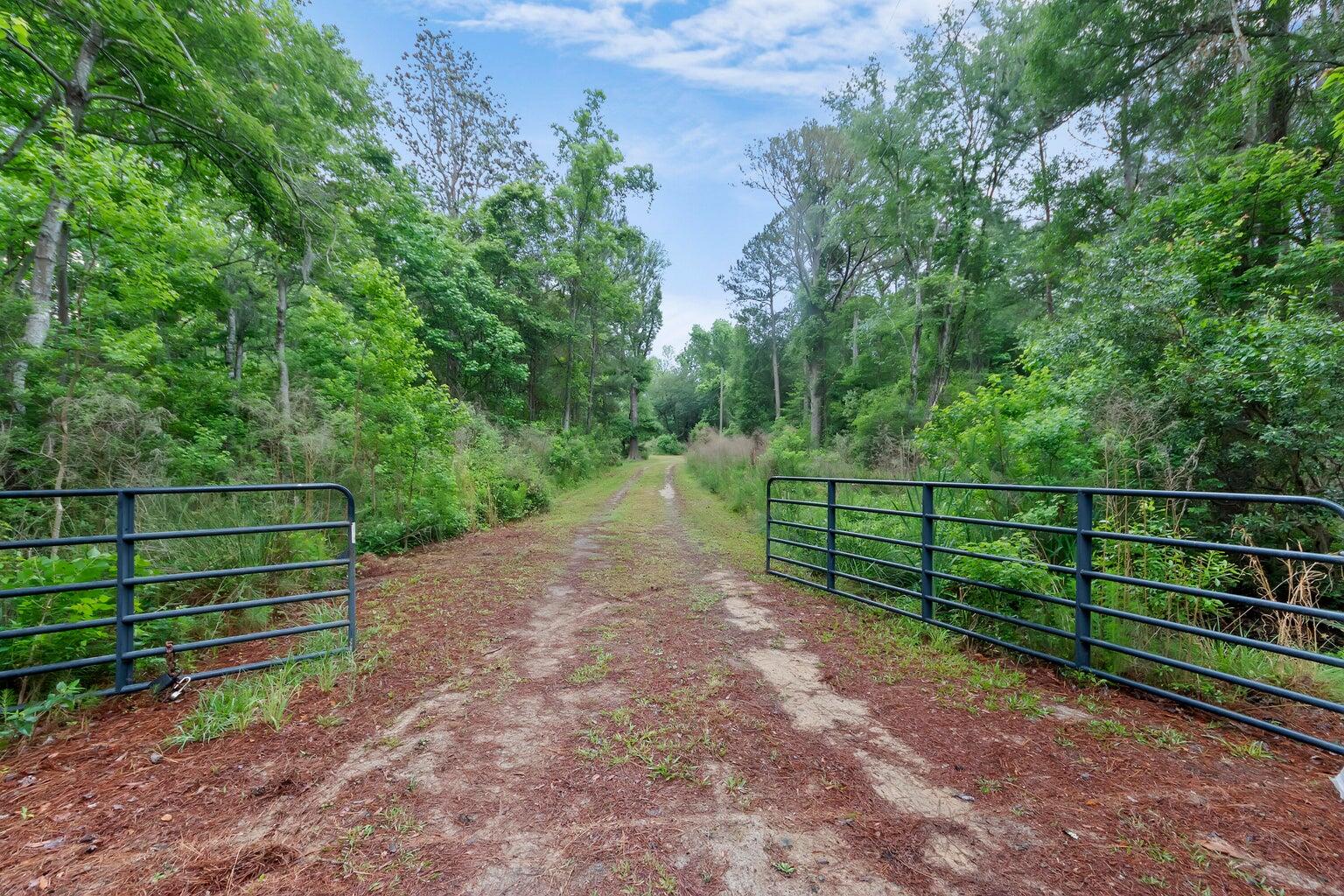 7855 Mary Seabrook Road