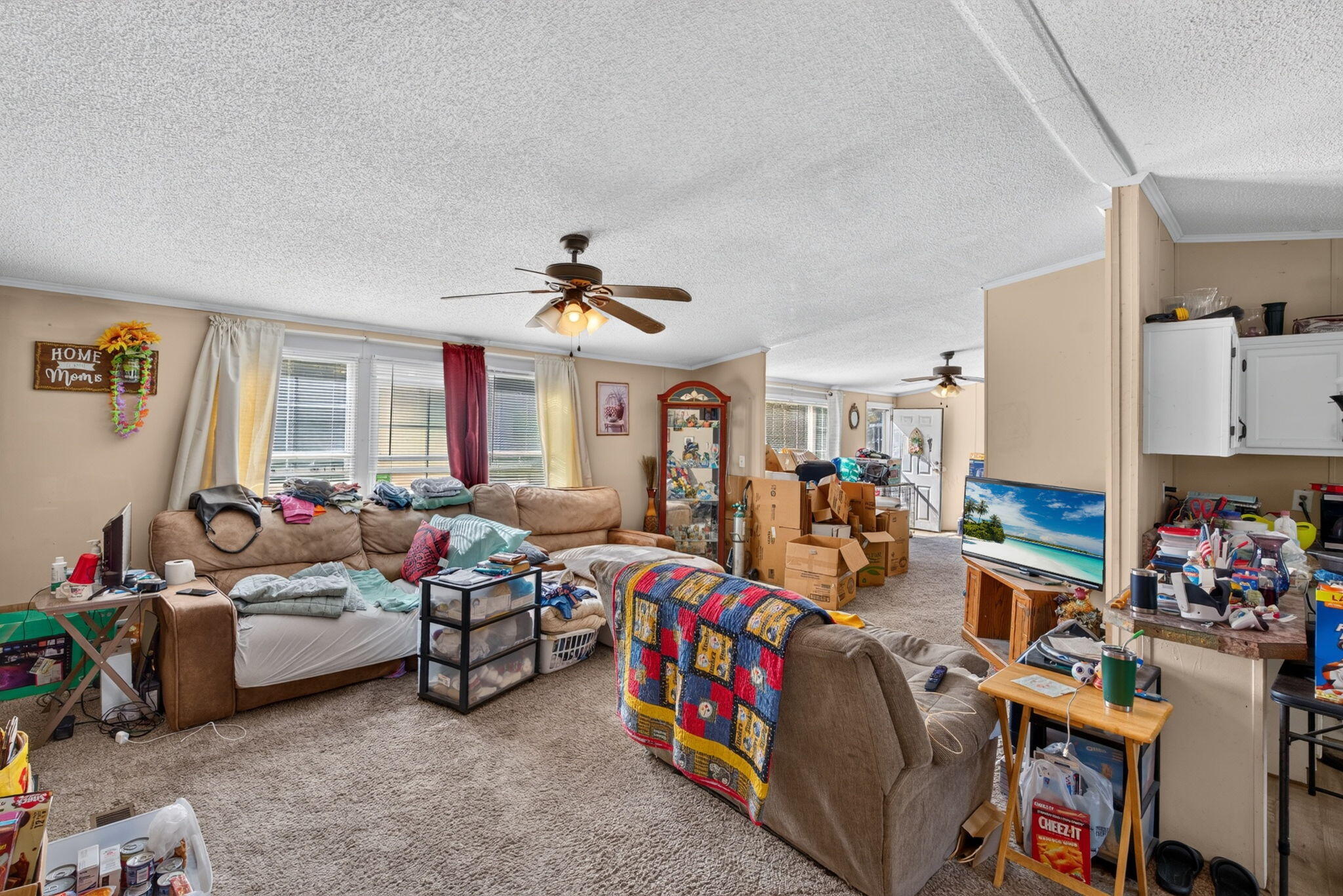 242 Cady Drive