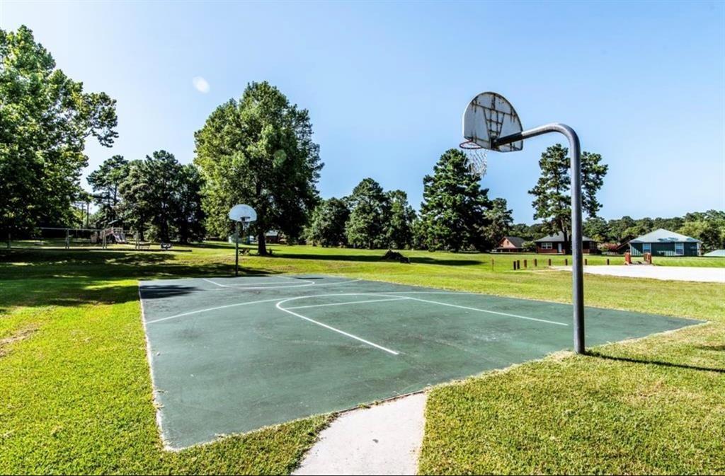1 Wild Forest Court