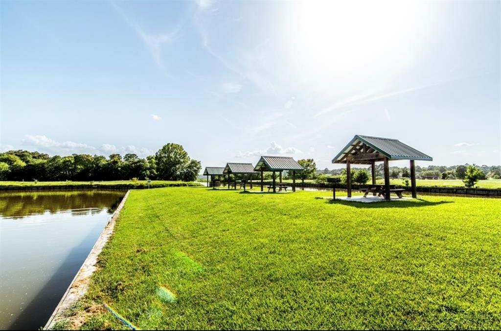 1 Wild Forest Court