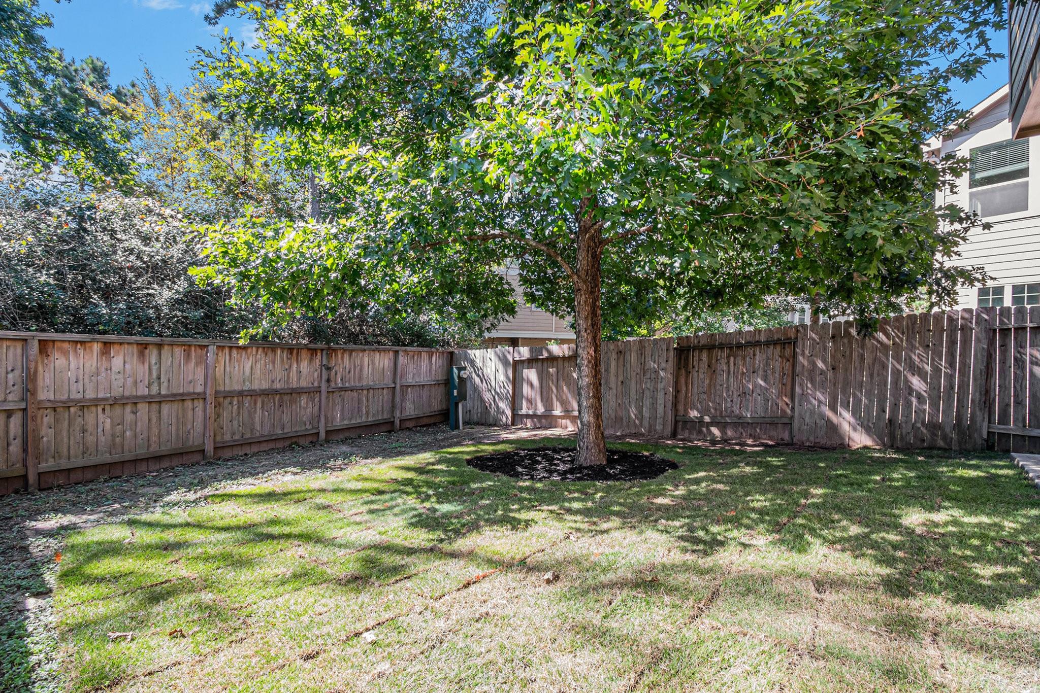 207 Cheswood Forest Place