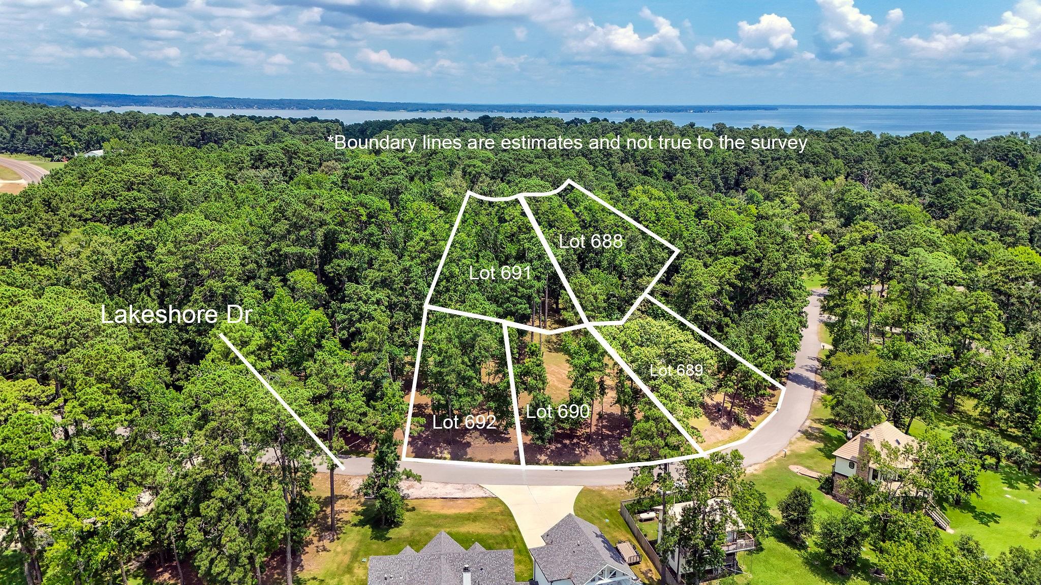 Aerial view of wooded lots outlined along Lakeshore Dr, with a lake beyond the trees.