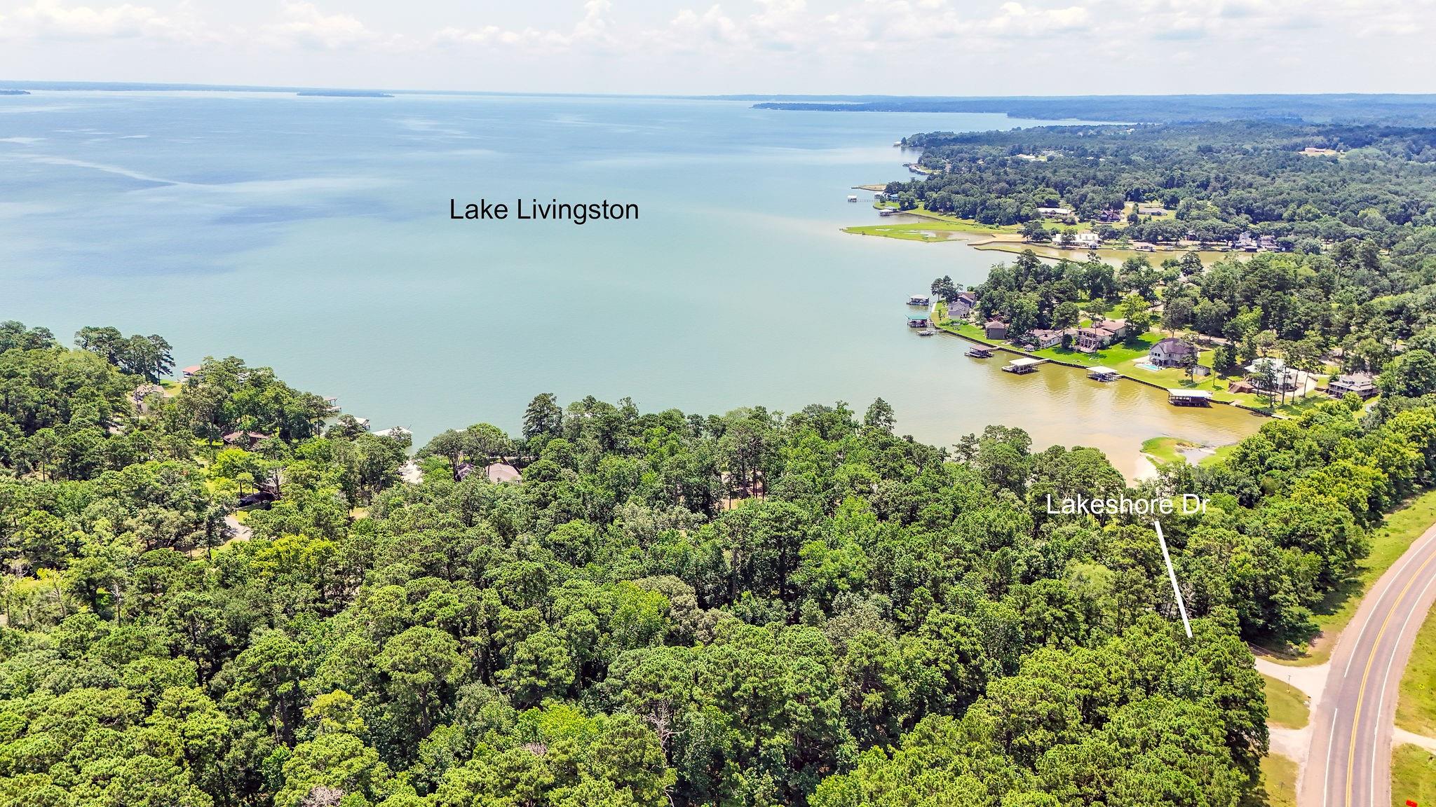 TBD Lakeshore/Black Walniut Drive