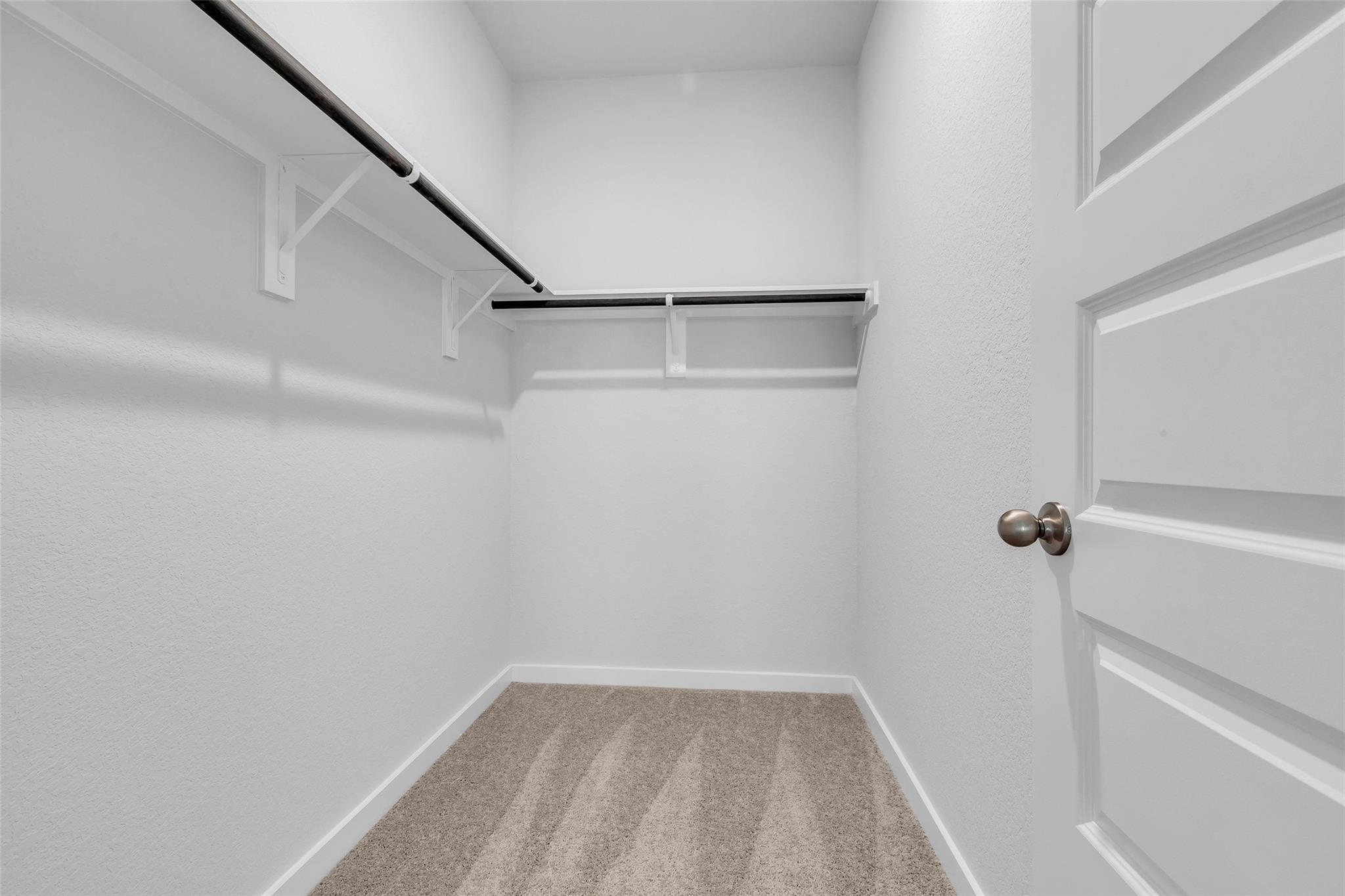 8562 Blueberry Ash Street