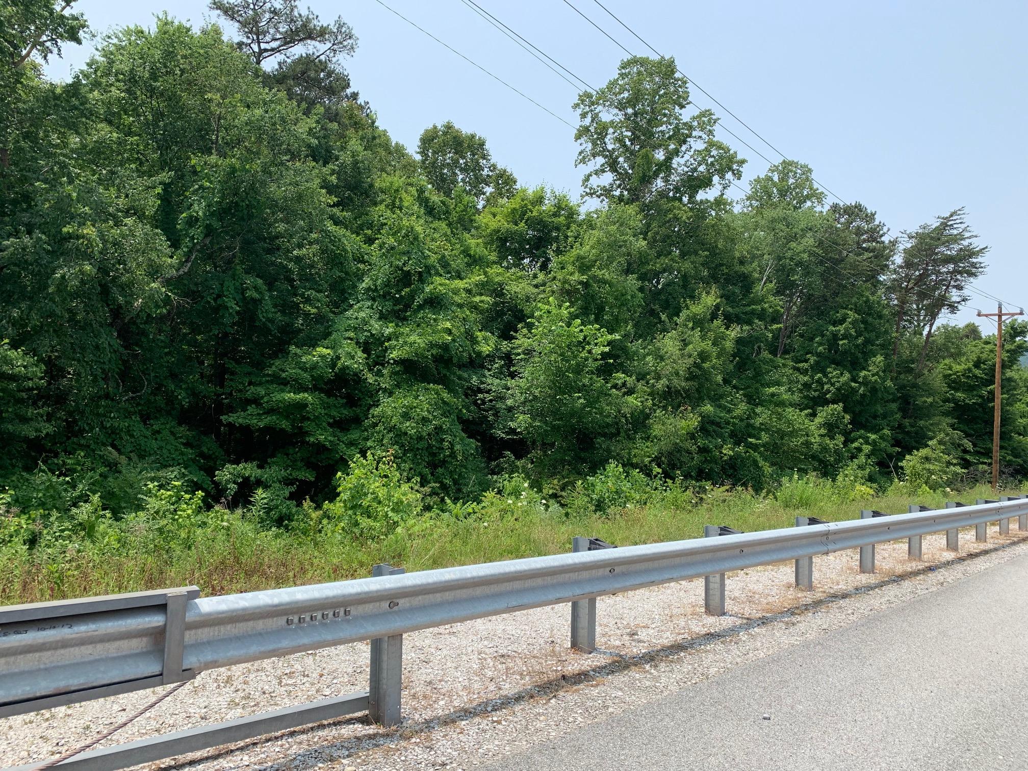 Kingston Ave, Lot 17/18