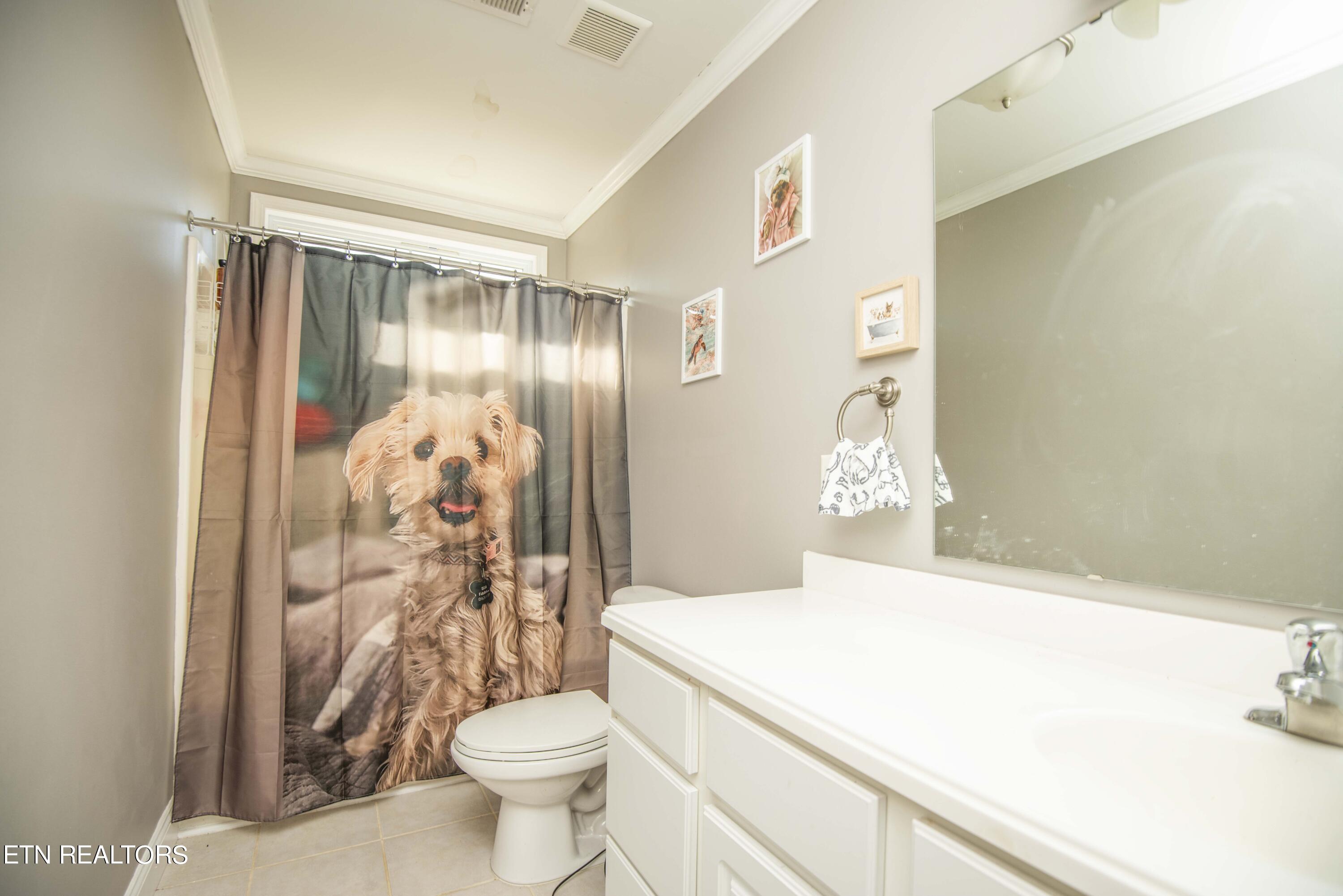 501 Gordon Hollow Rd