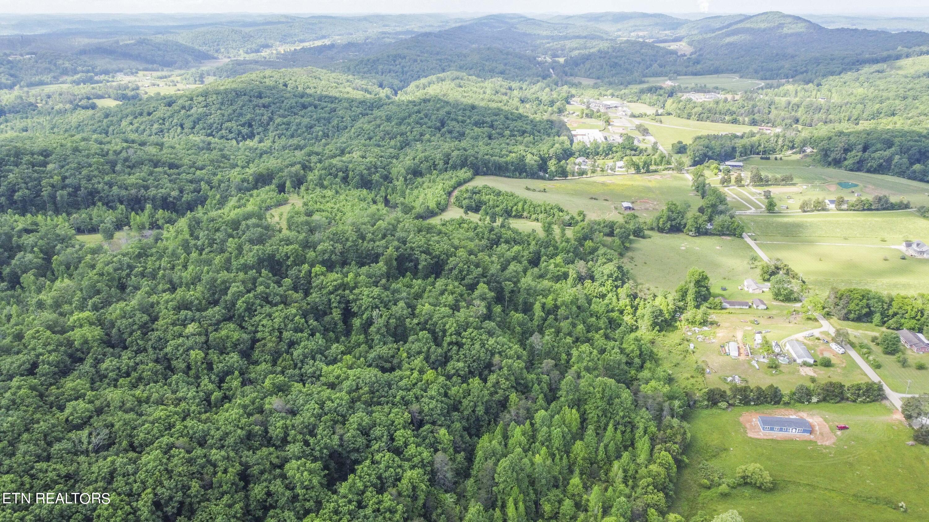 234 Laurel Bluff Rd