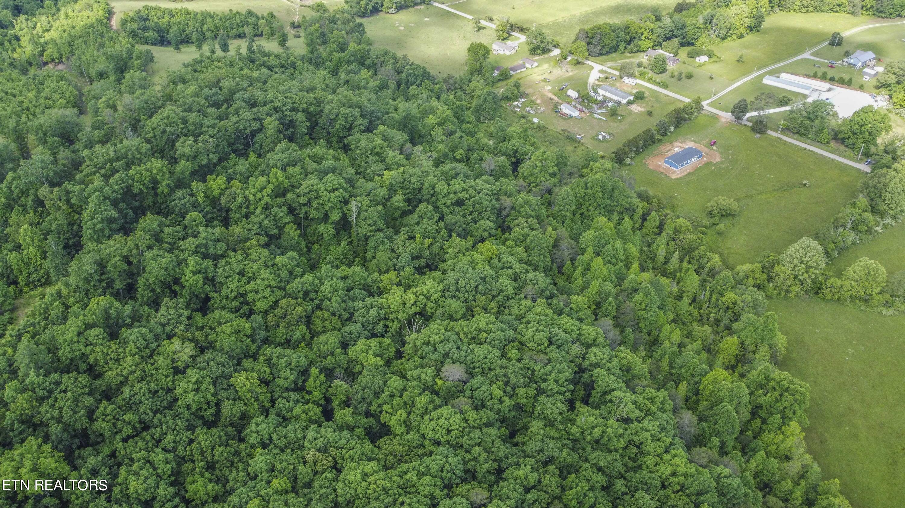 234 Laurel Bluff Rd