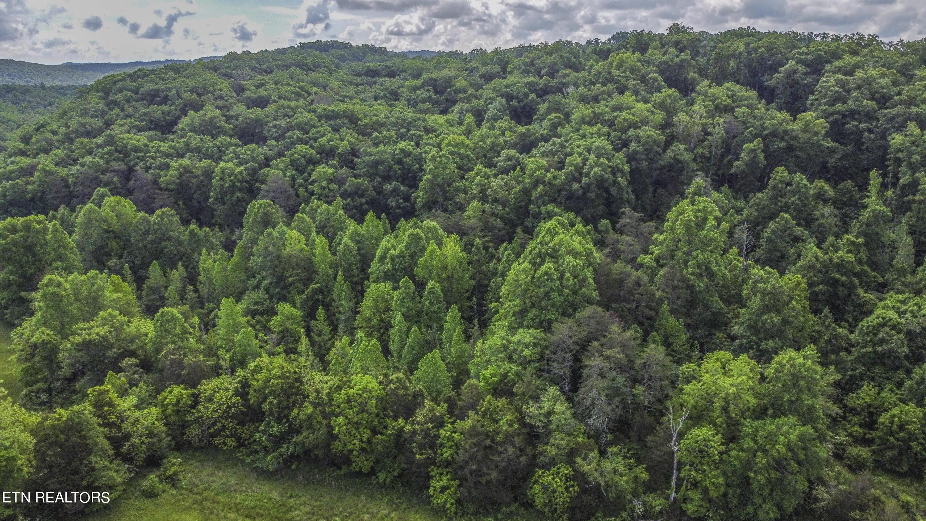 234 Laurel Bluff Rd