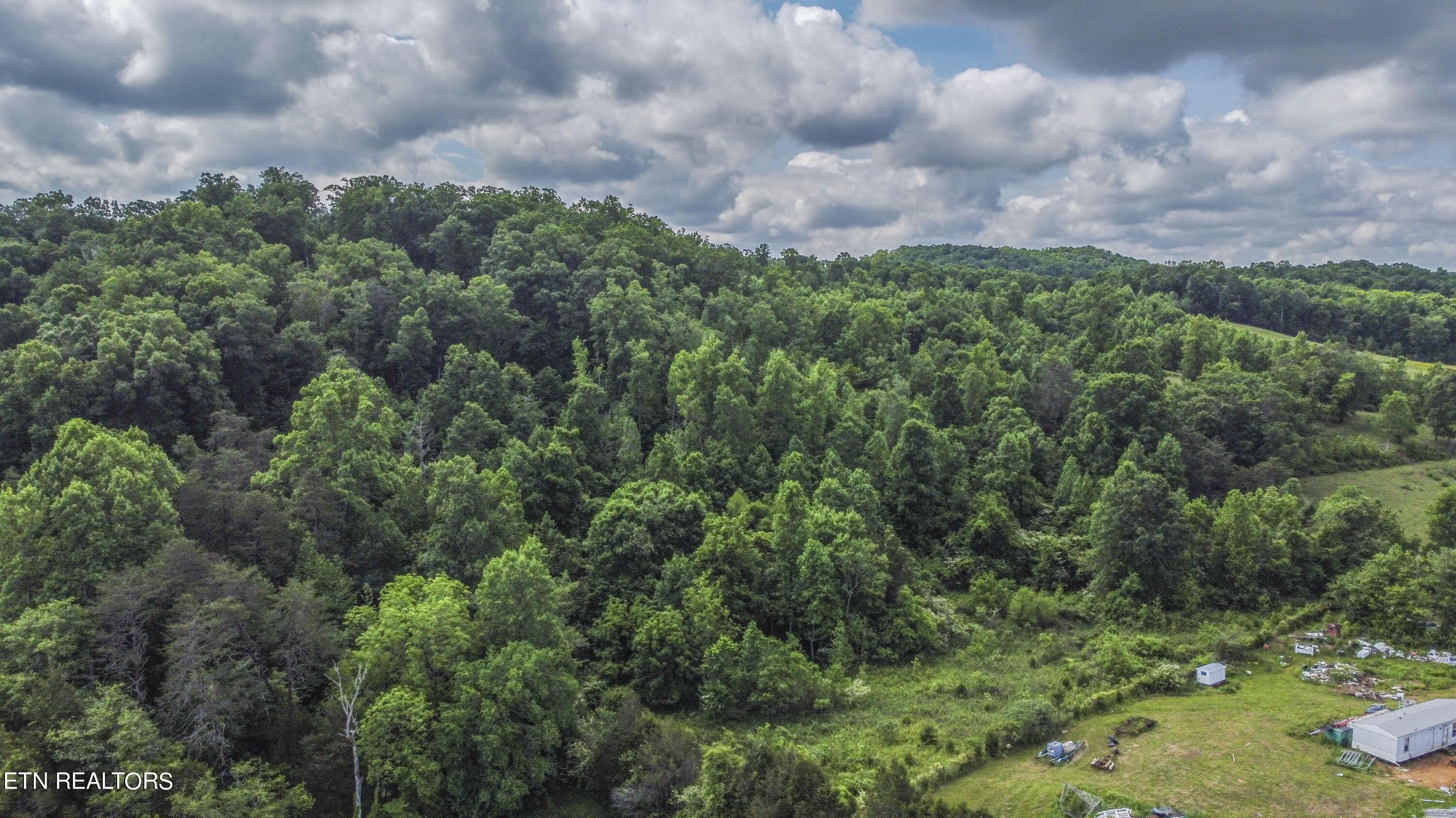 234 Laurel Bluff Rd