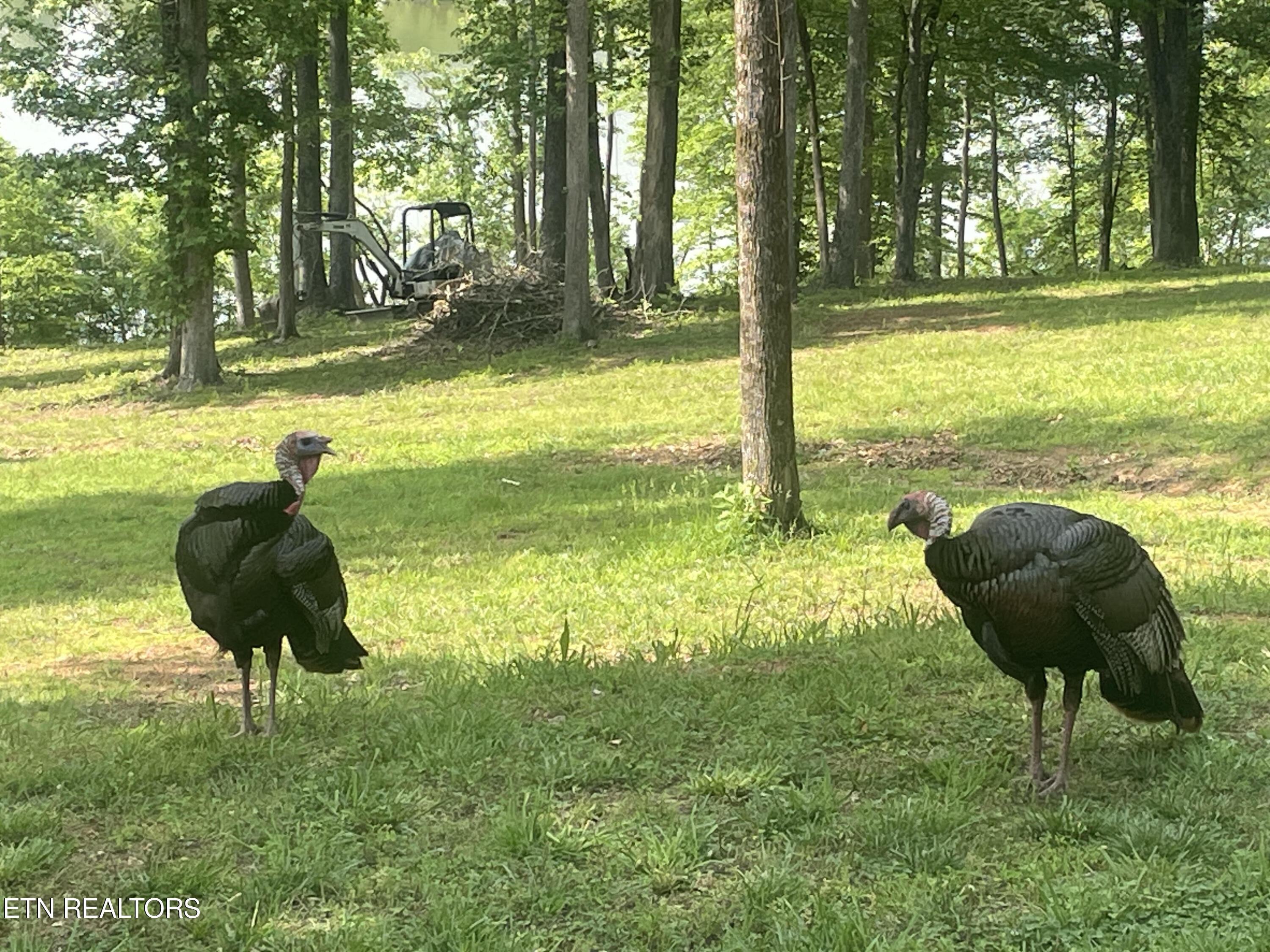 843 Winton Chapel Rd