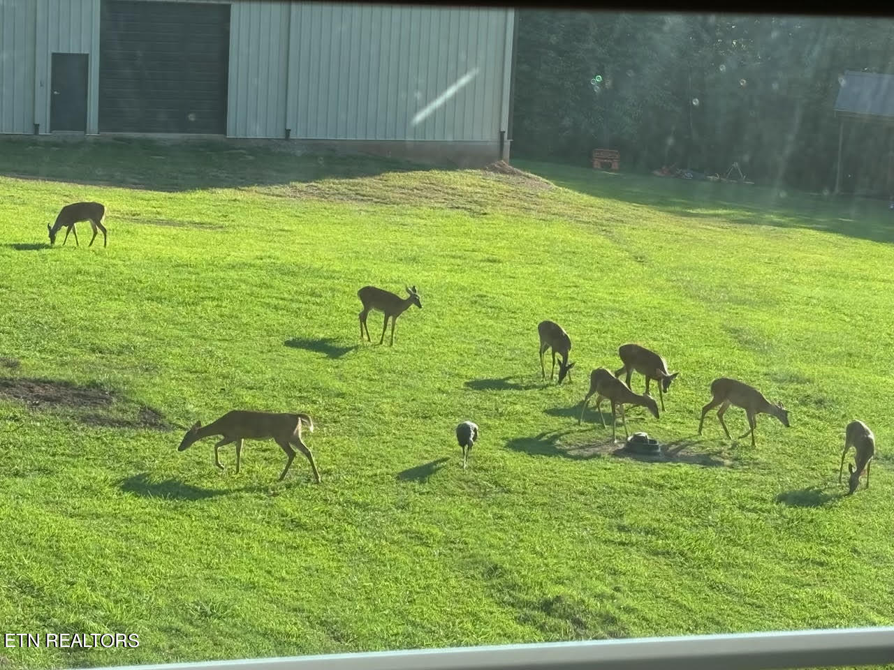 843 Winton Chapel Rd