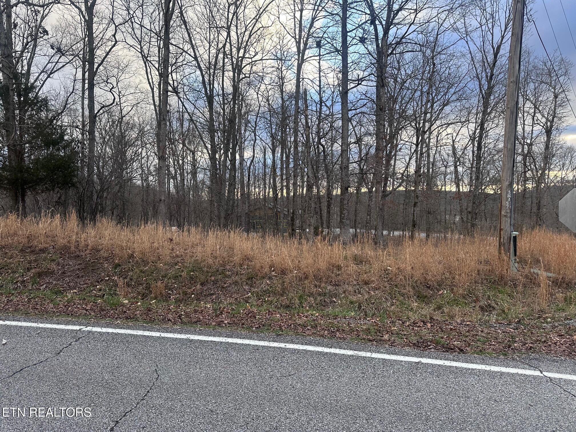 Indian Shadows Drive