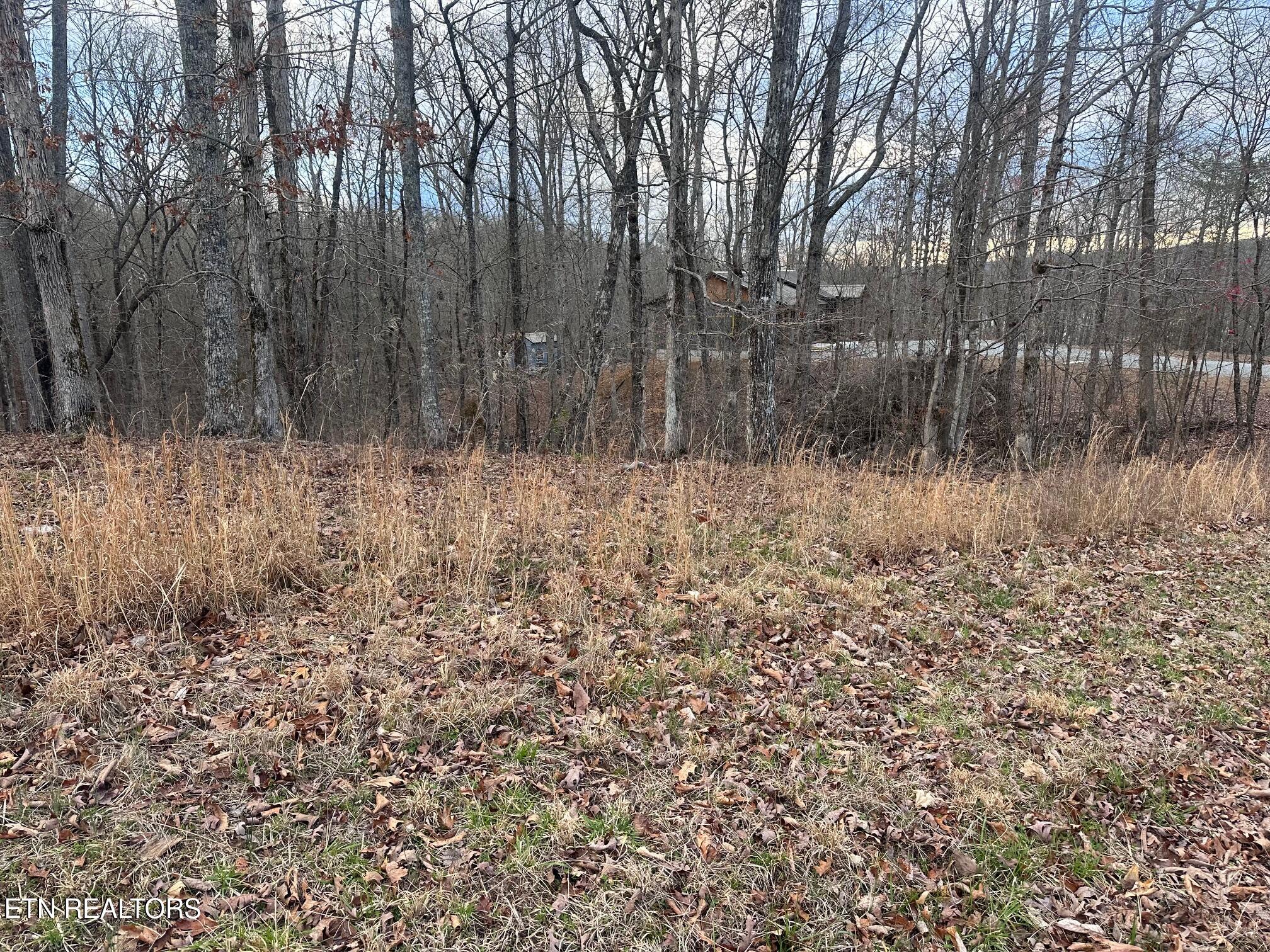 Indian Shadows Drive