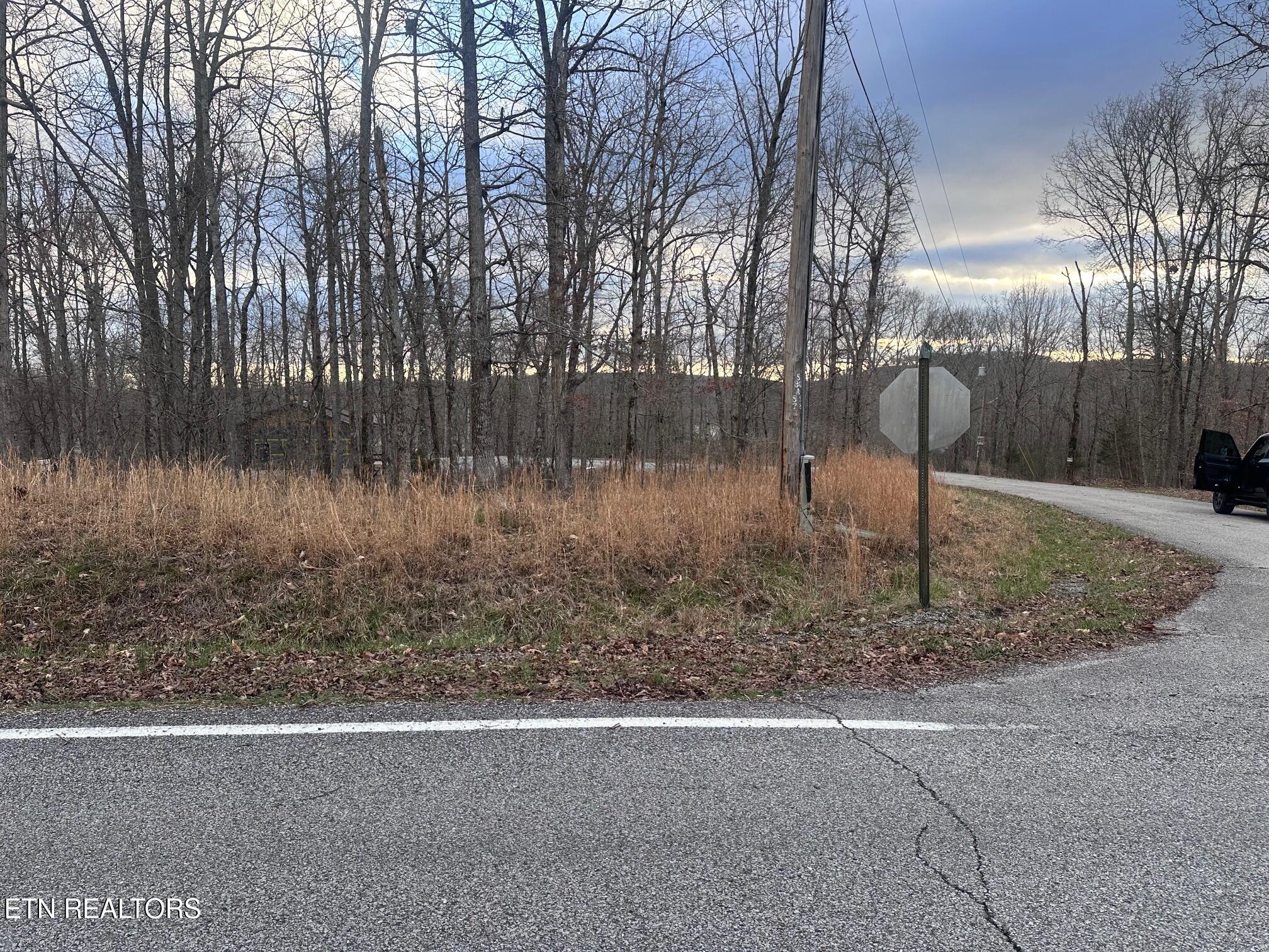 Indian Shadows Drive