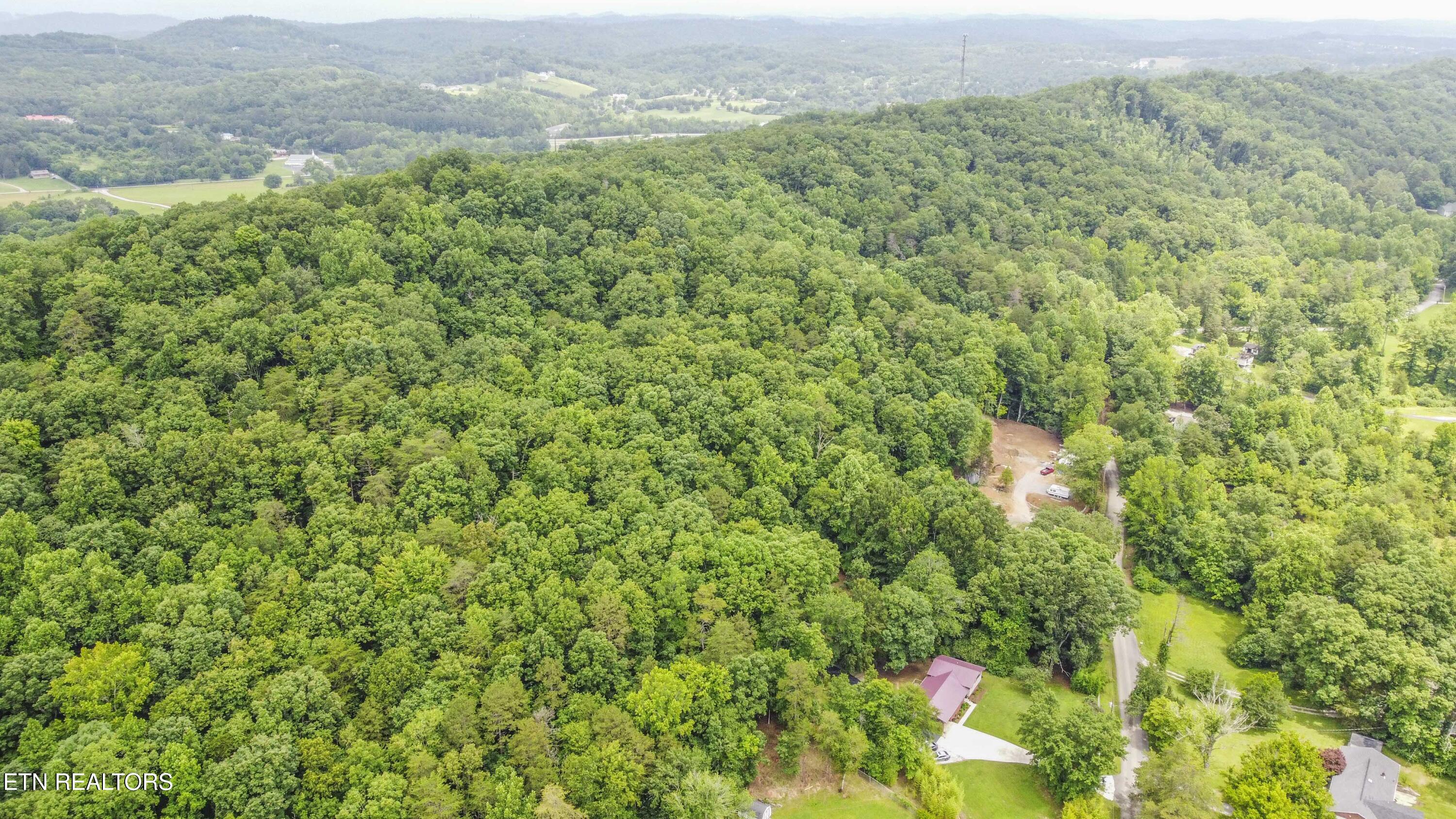 181 Little Johnson Valley Rd