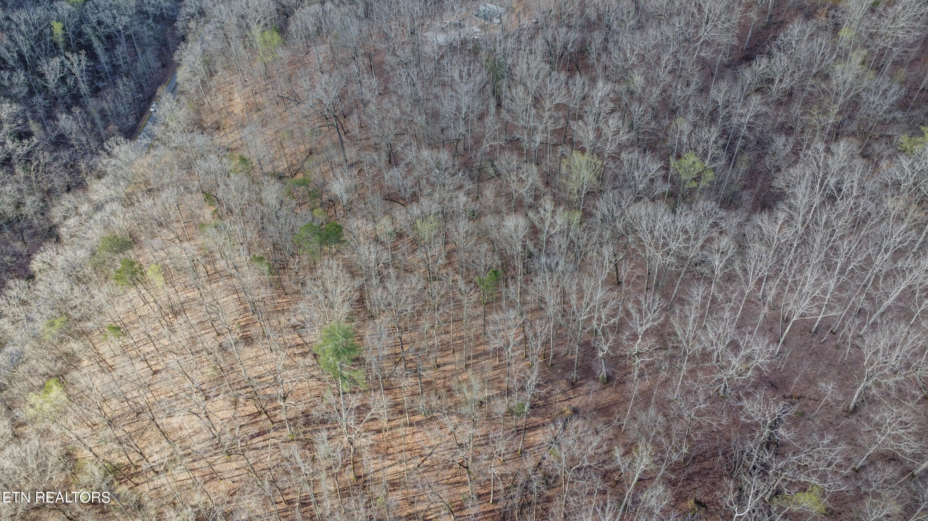 Lot 435 Hidden Oaks Rd