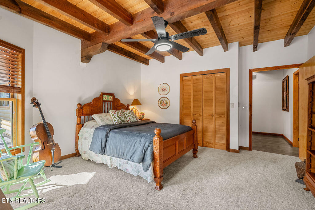 117 Chickasaw Point