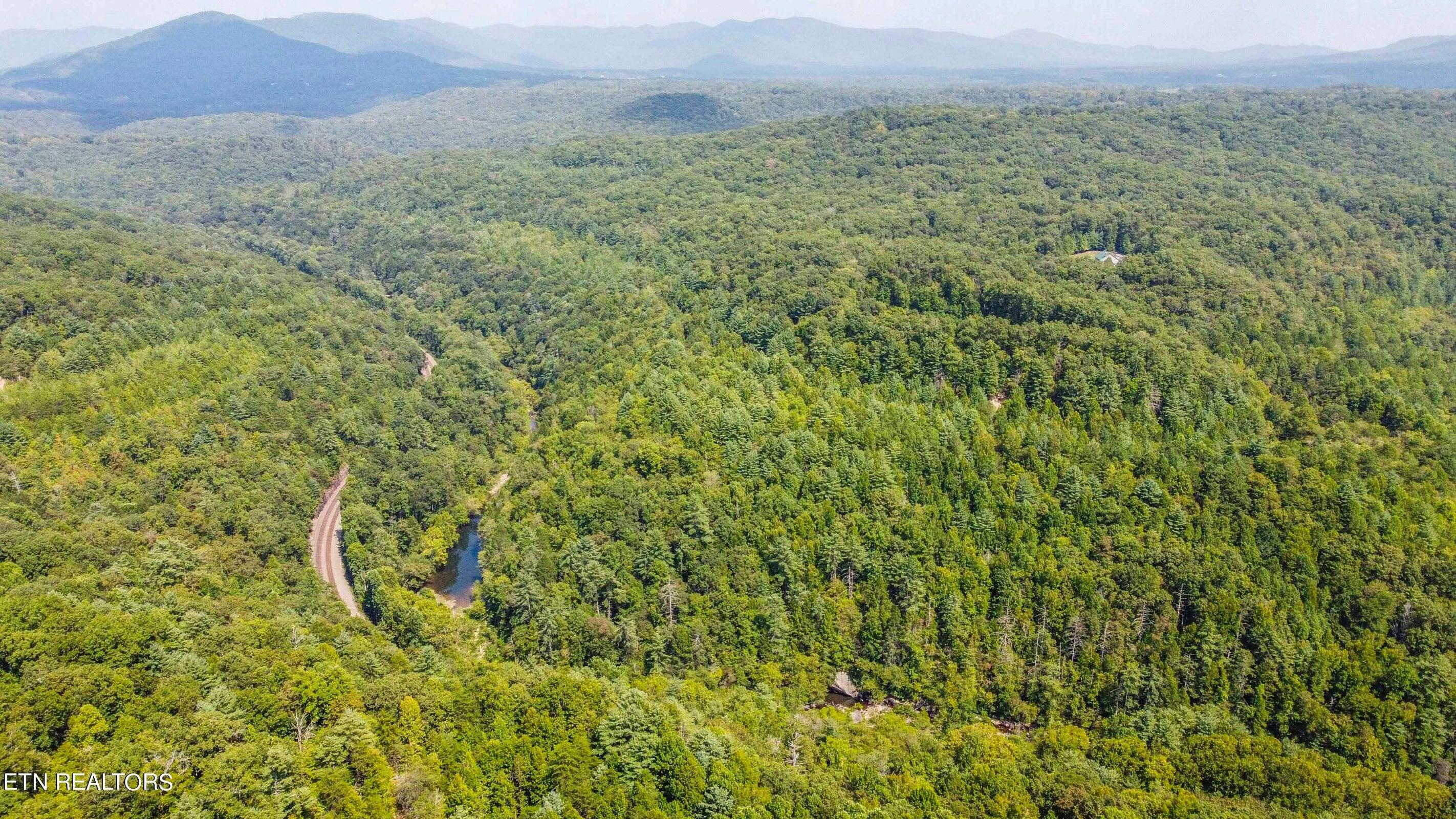 126 Homestead Hollow Road