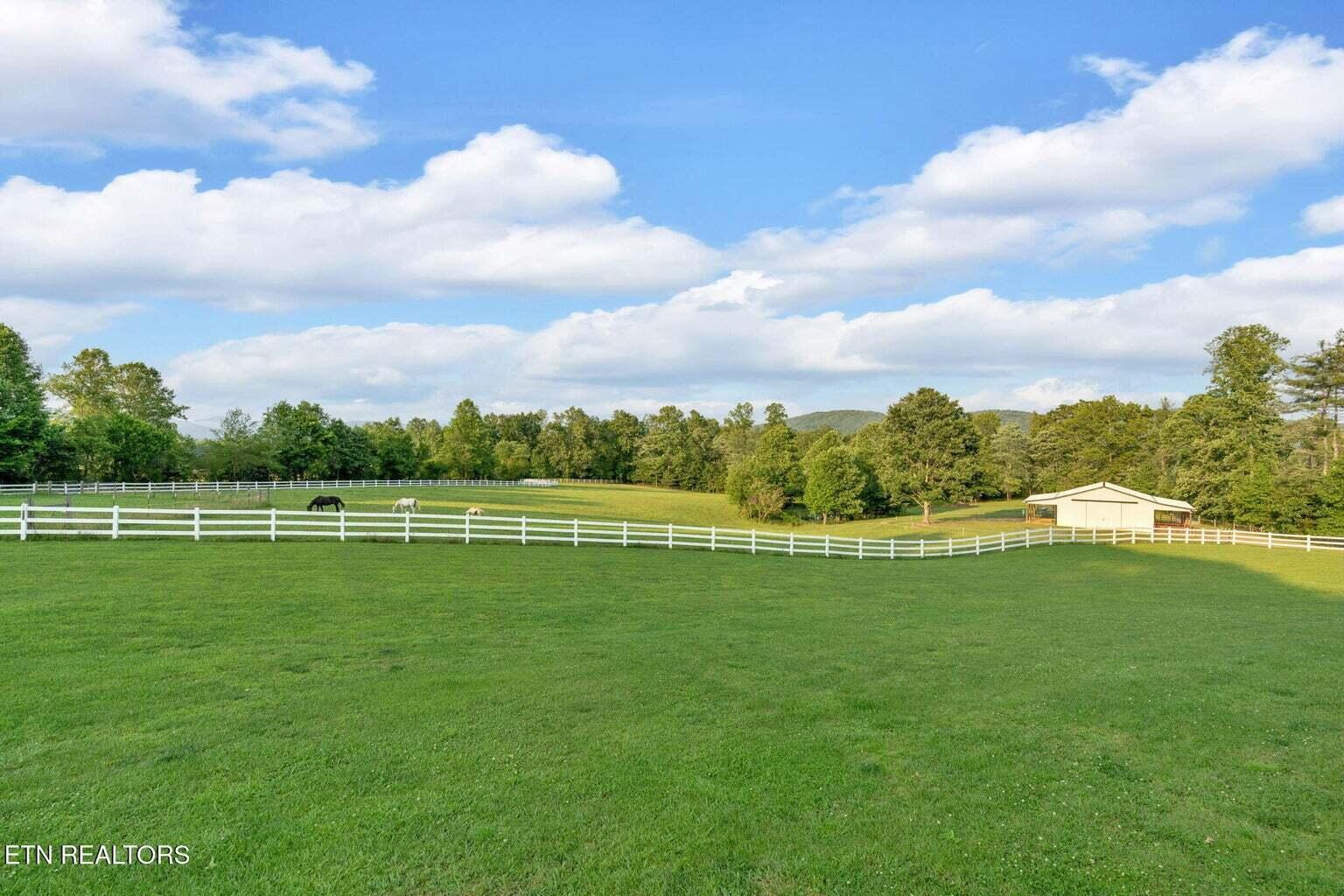 596 Clifty Creek Road