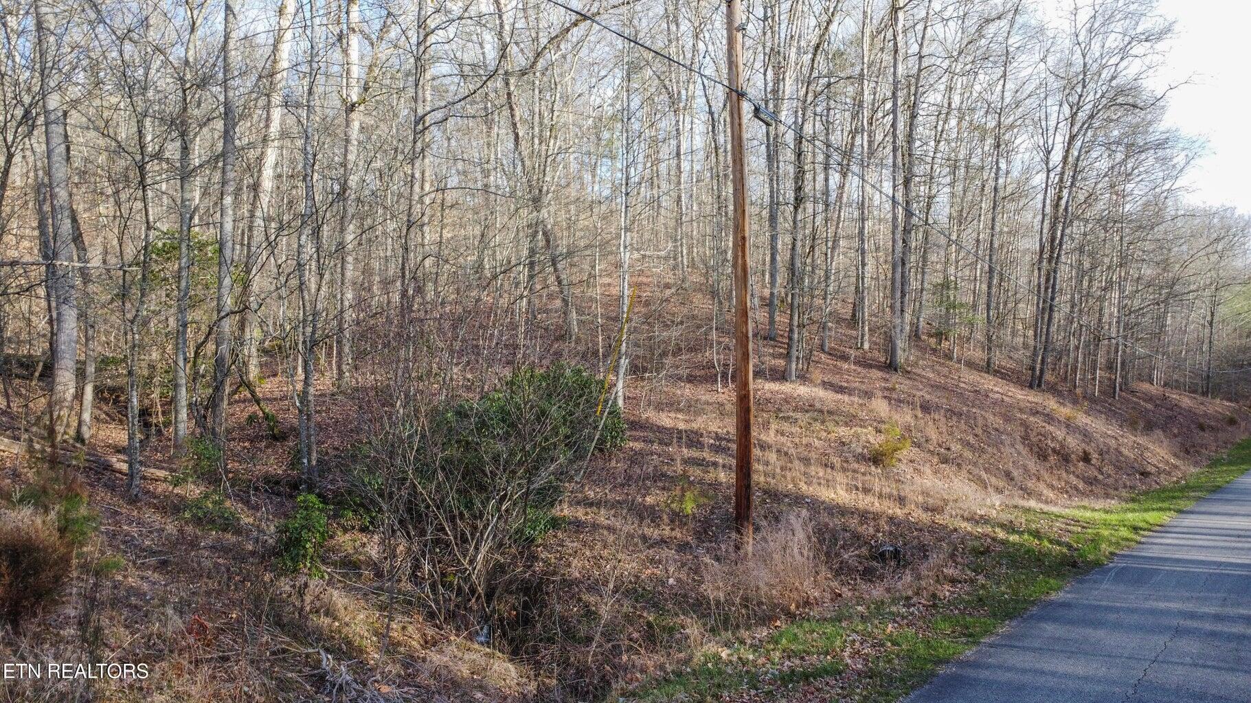 00 Hidden Oaks Road