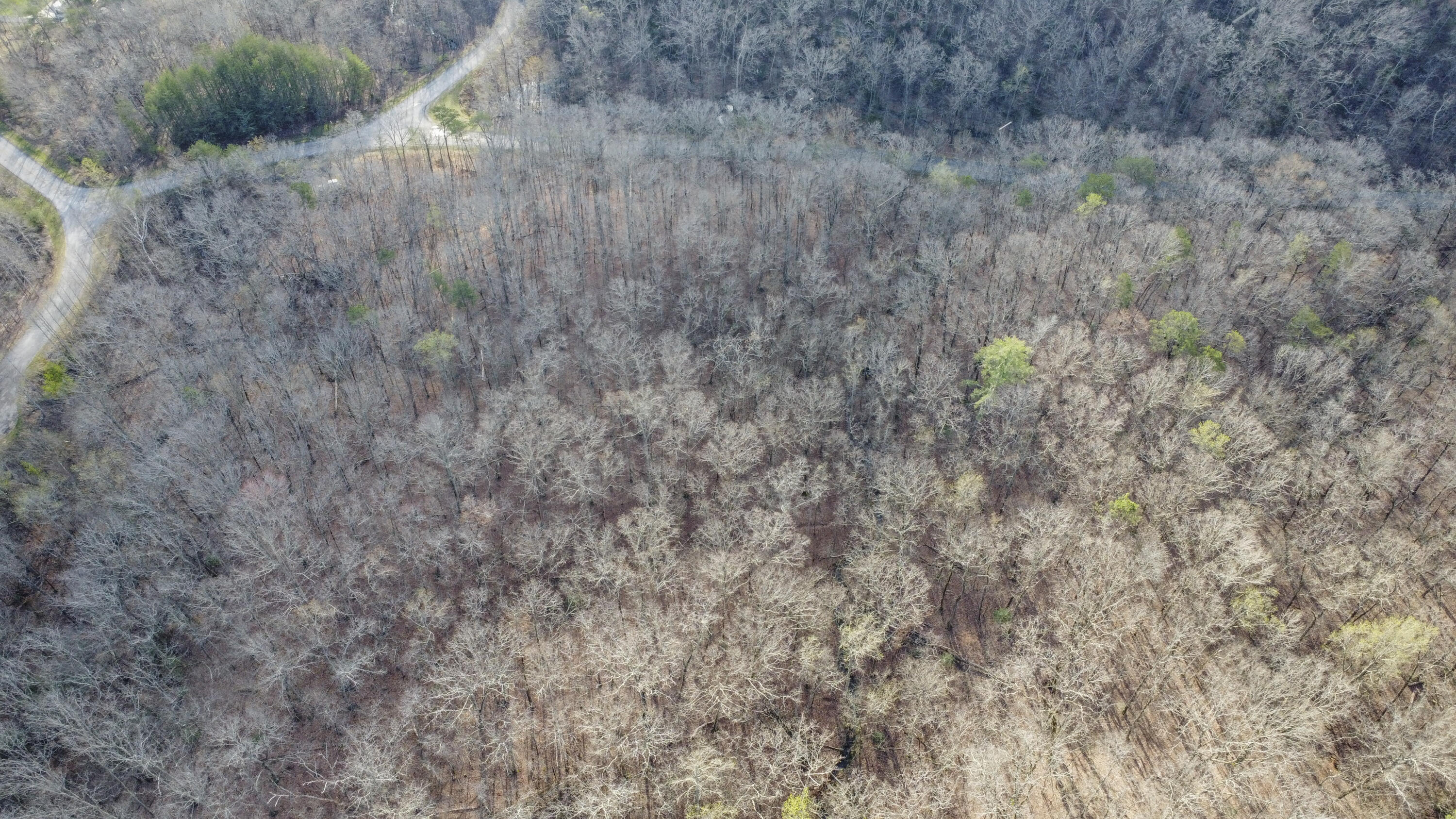 Lot 435 Hidden Oaks Road