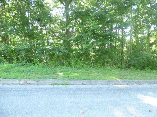 Lot 1 Lakeview Drive