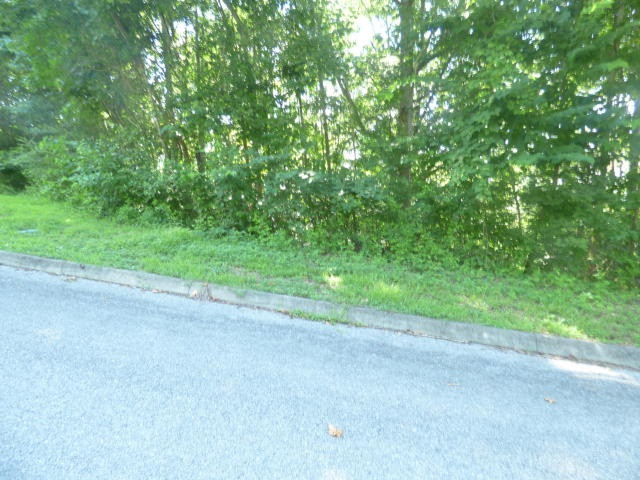 Lot 1 Lakeview Drive