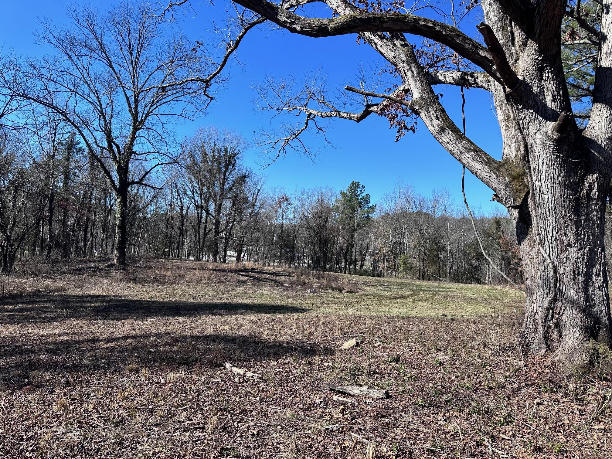 1302 Lawnville Road