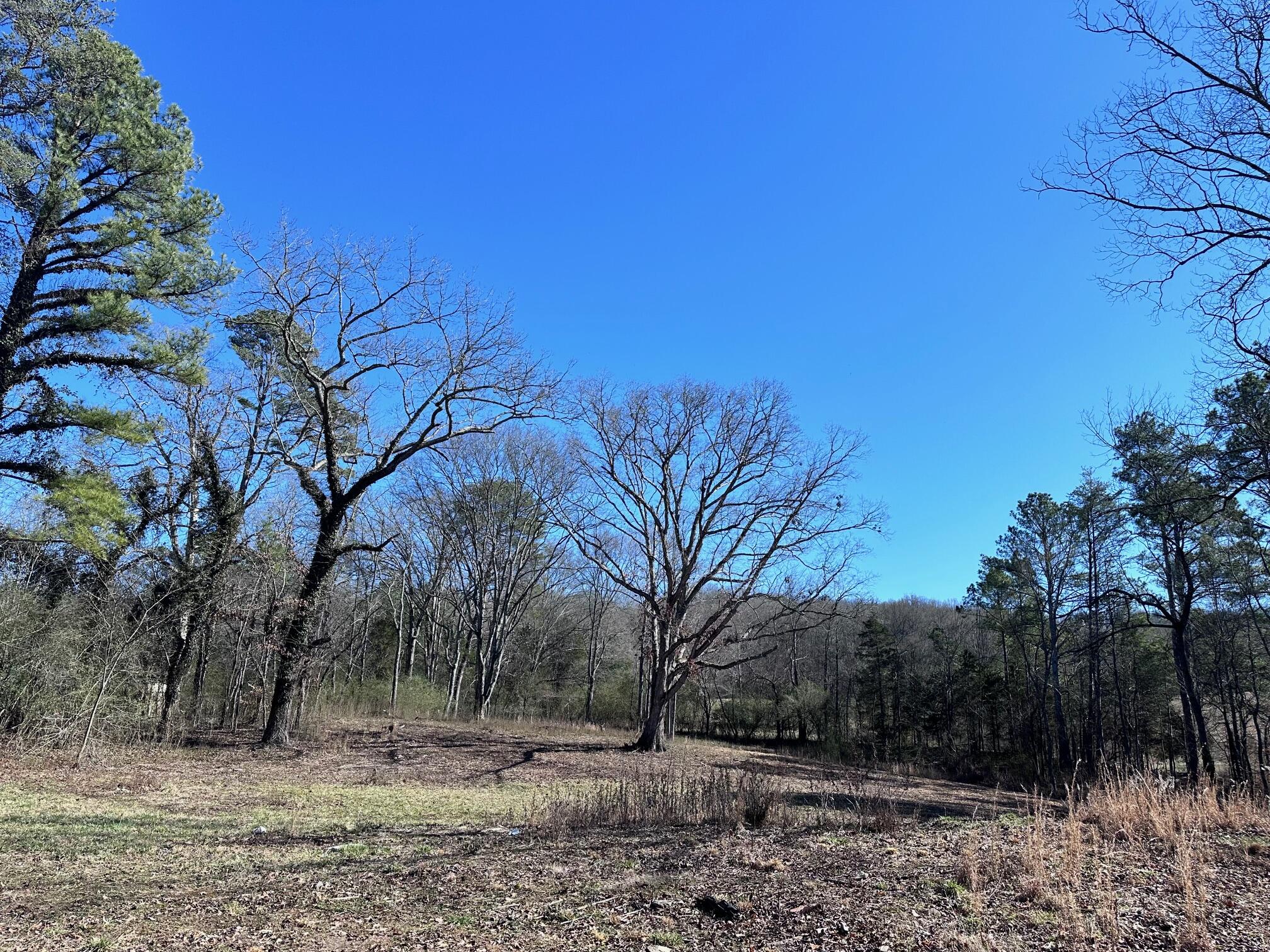 1302 Lawnville Road